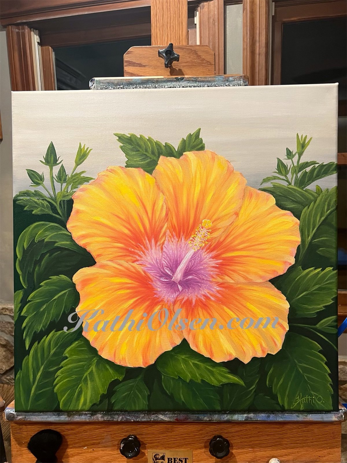 Yellow And Orange Hibiscus