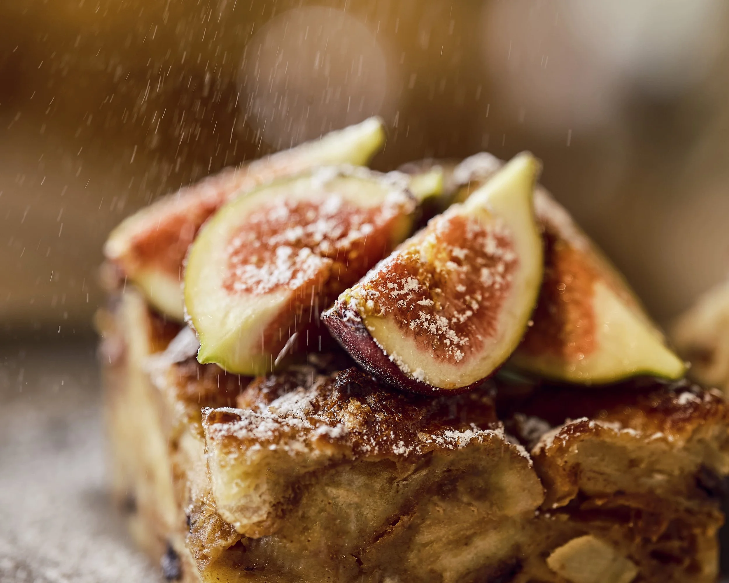 WREN_NEST26892 1.jpg