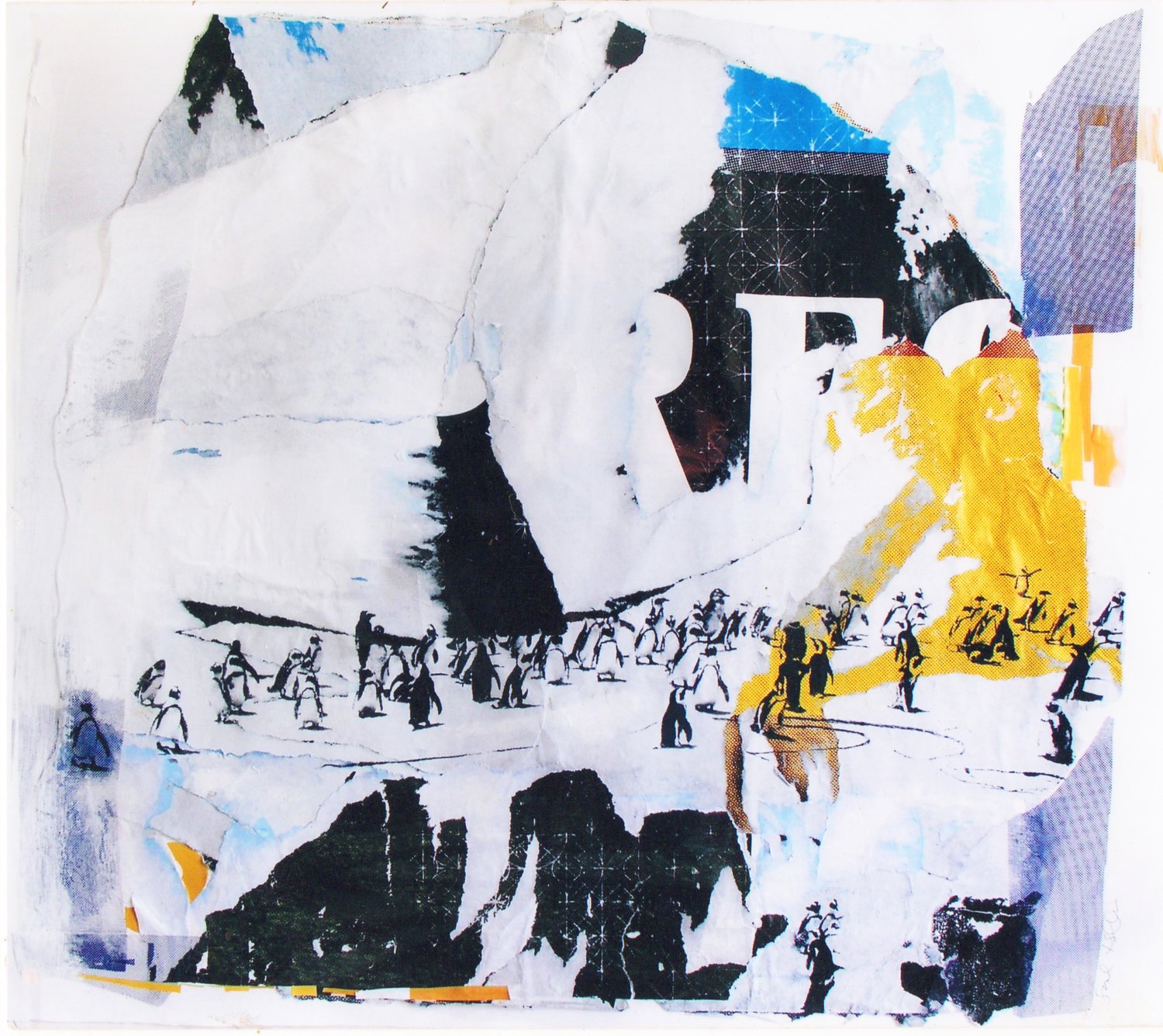 Sarah Hubacher Artworks - Cape Penguins 1.jpeg