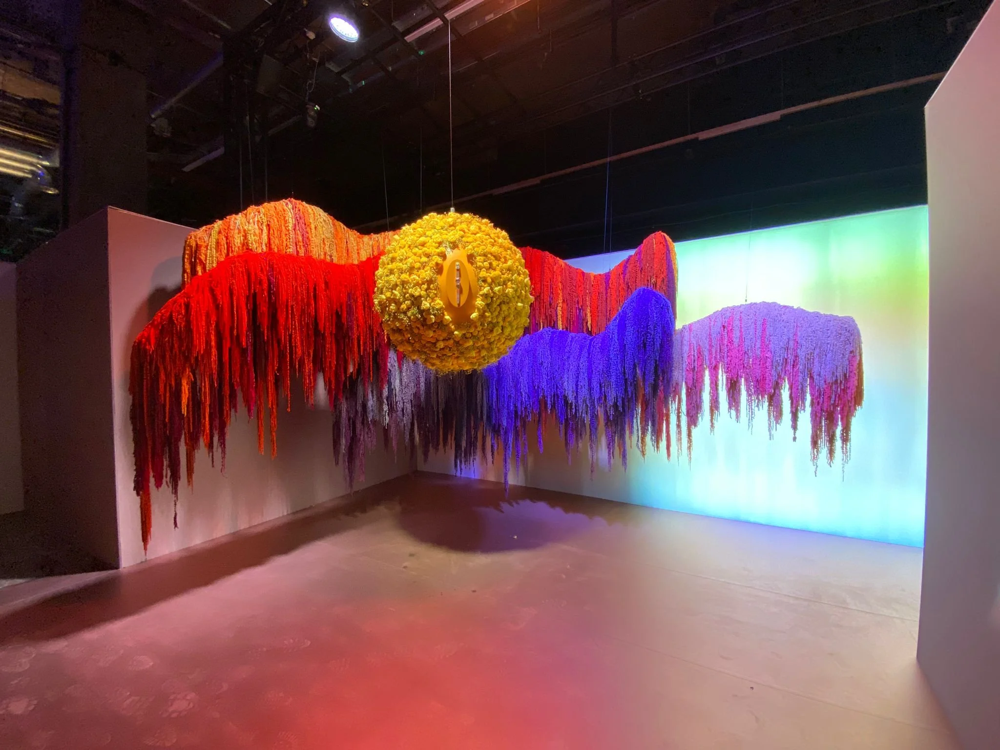 4 Unknown-5 copy.jpeg