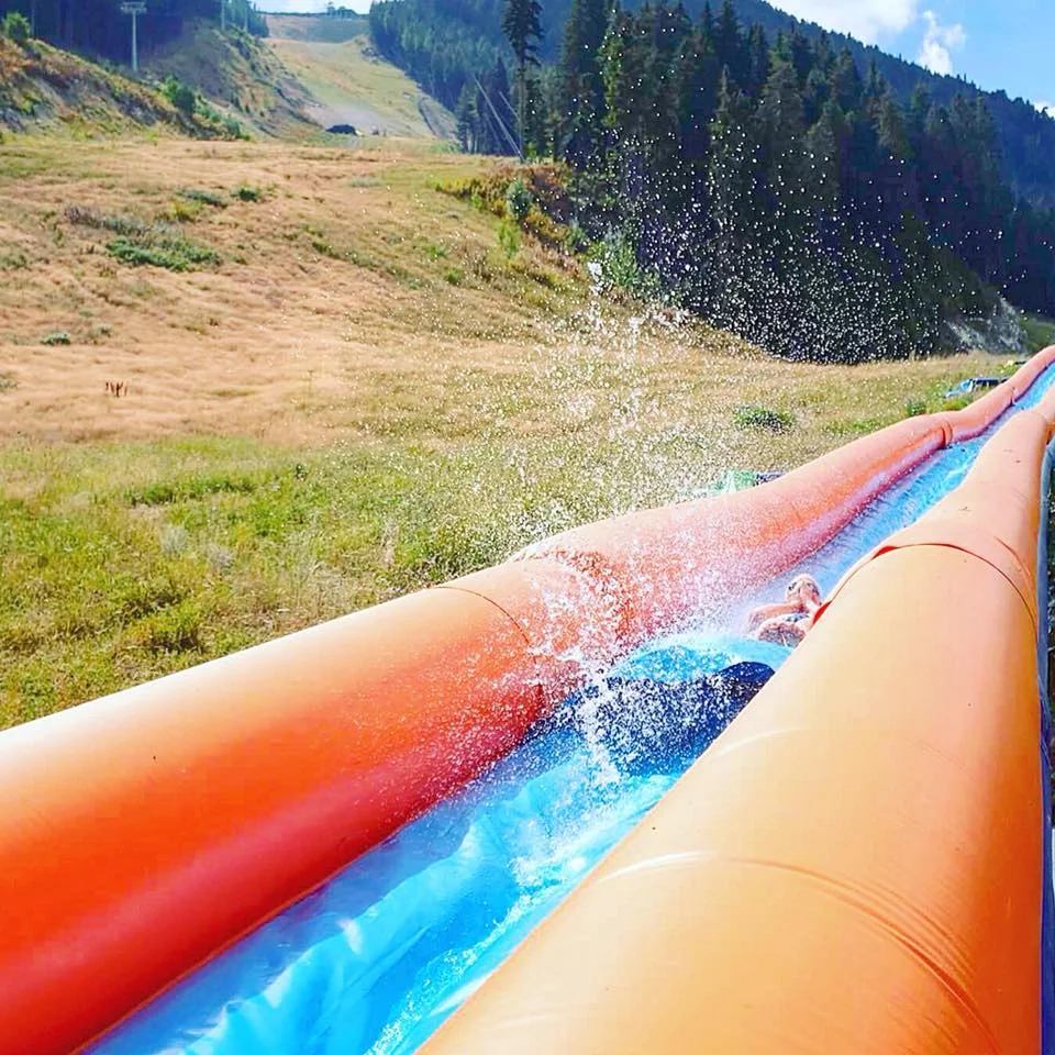 slide4.jpg