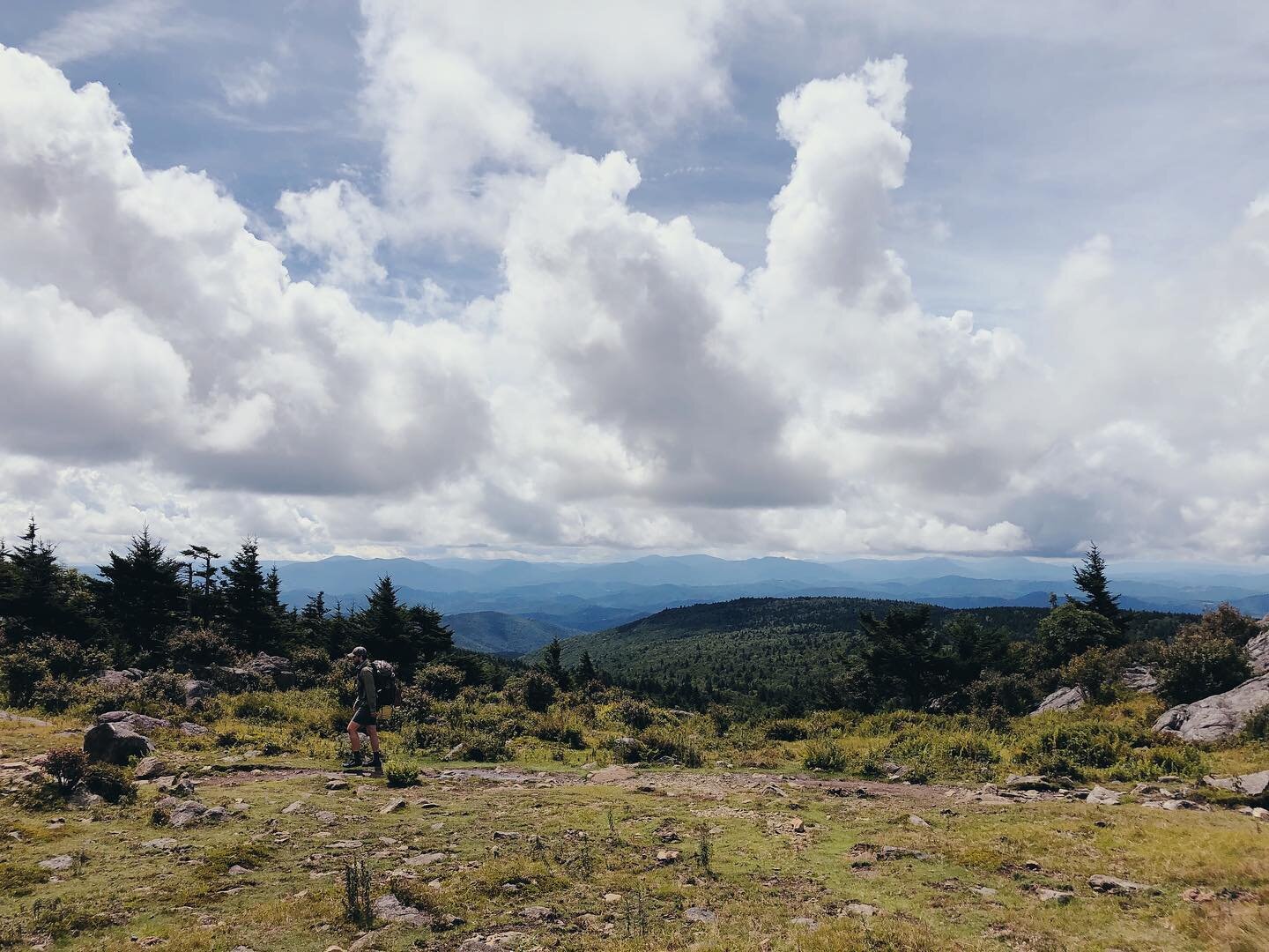 One of the best parts about living in the Charlotte area is how close you are to incredible views and hikes, not only in NC, but anywhere from GA up to WV. Grayson Highlands in VA is a short 2.5 hour trip from Charlotte with some of the best @appalac