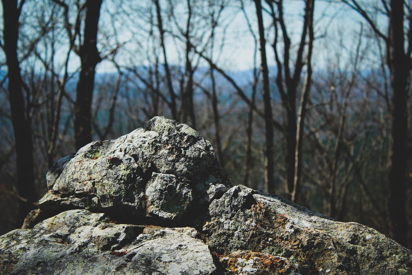 Looking for a nearby spot to go for a hike with your love this Valentine&rsquo;s Day? Head out to @morrowmountain in the Uhwarrie National Forest.

Former Regional Director of @threeriverslandtrust and owner of @cedarriverstudios, Brian King gives us