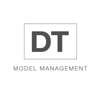 dt model .jpg