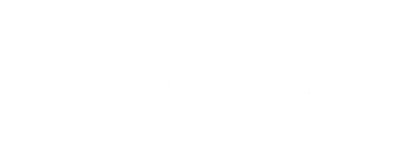 TRANSPARENT BACKGROUND.png
