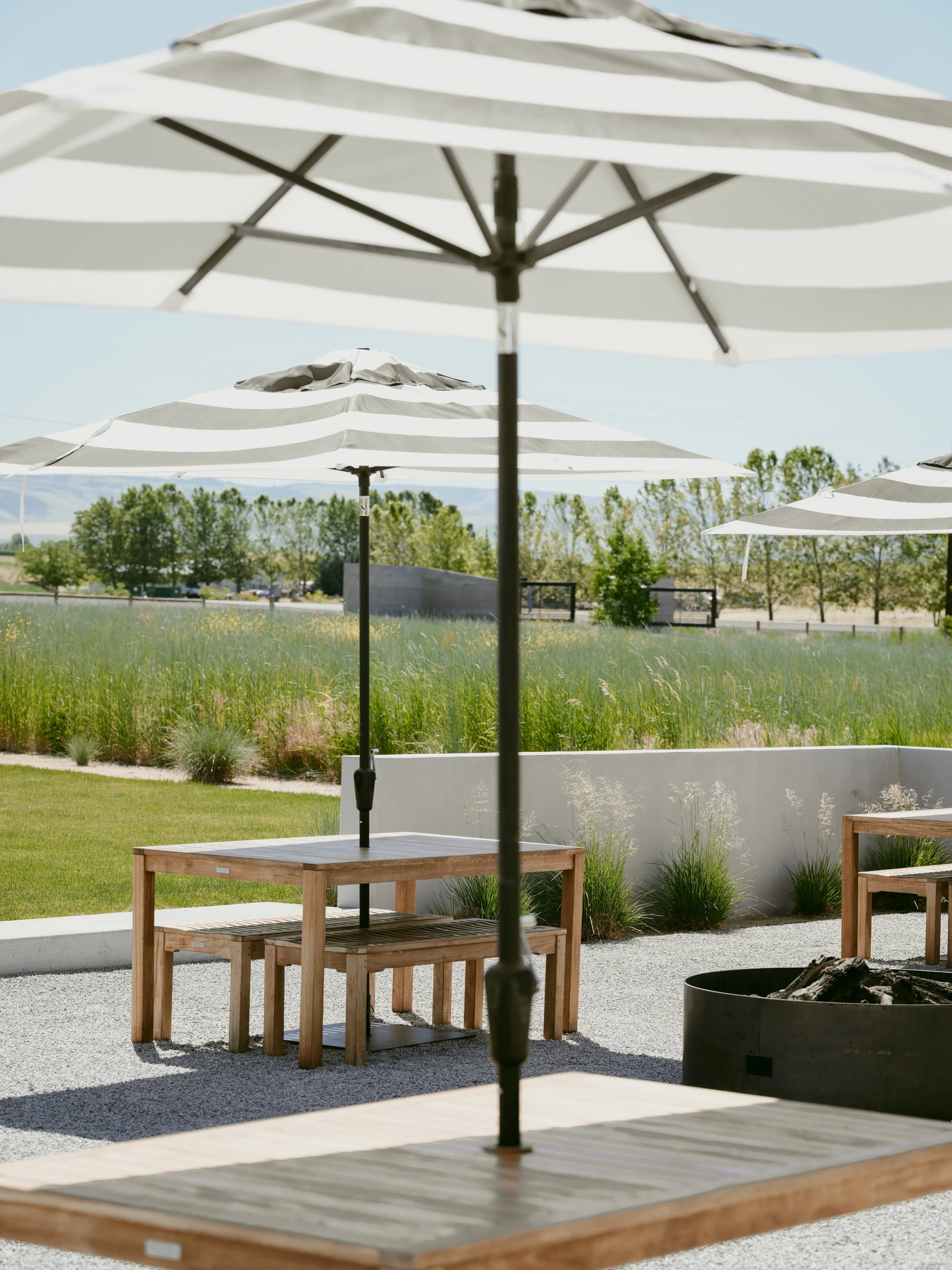Member Harvest Kickoff Celebration: Grill & Gather