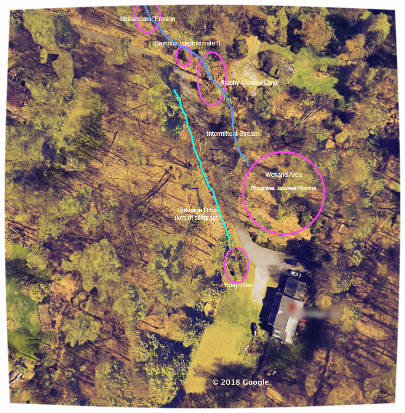 Habitat assessment aerial.png