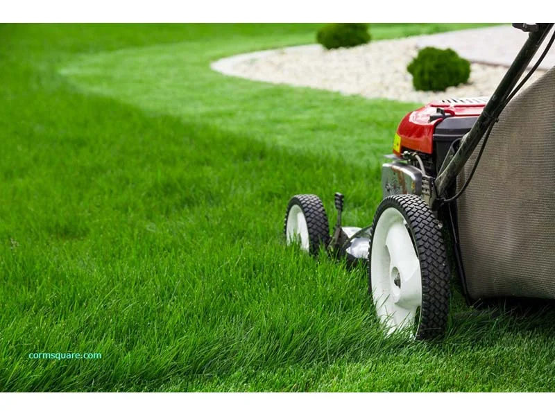 The rise of the lawn. Image Source: © Prasannanossam3 / Wikimedia Commons / CC-BY-SA-4.0