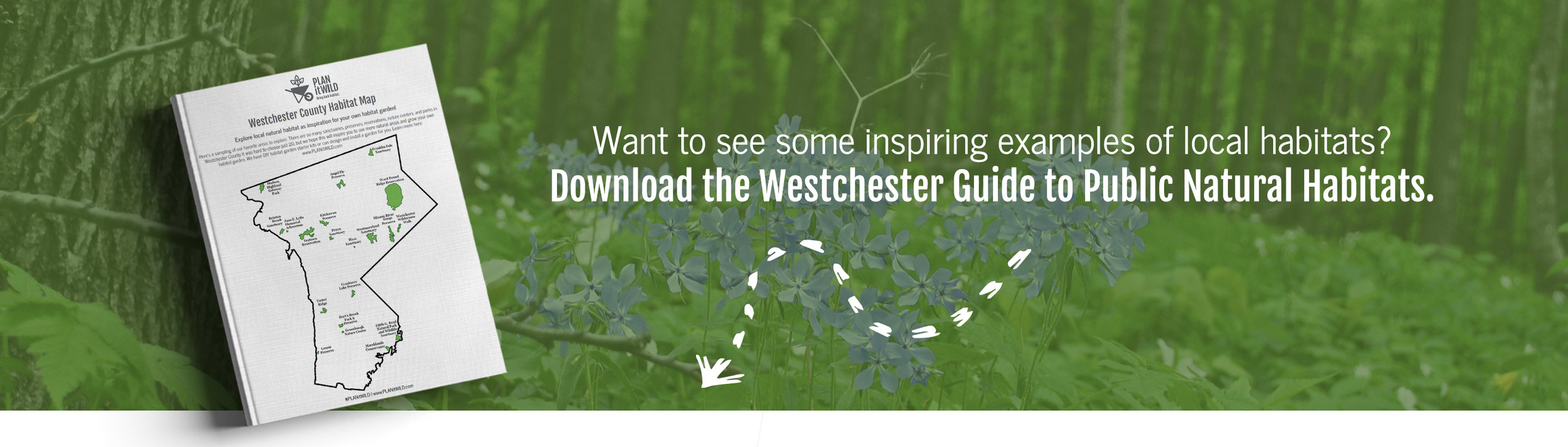 DownloadGuide.jpg