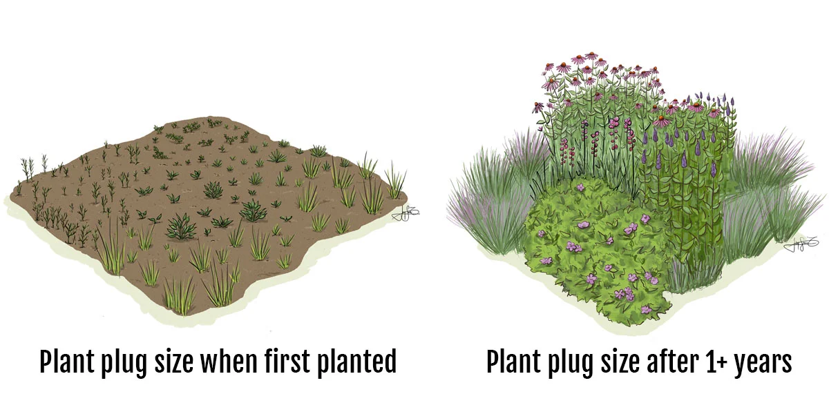 Plug Graphic.jpg