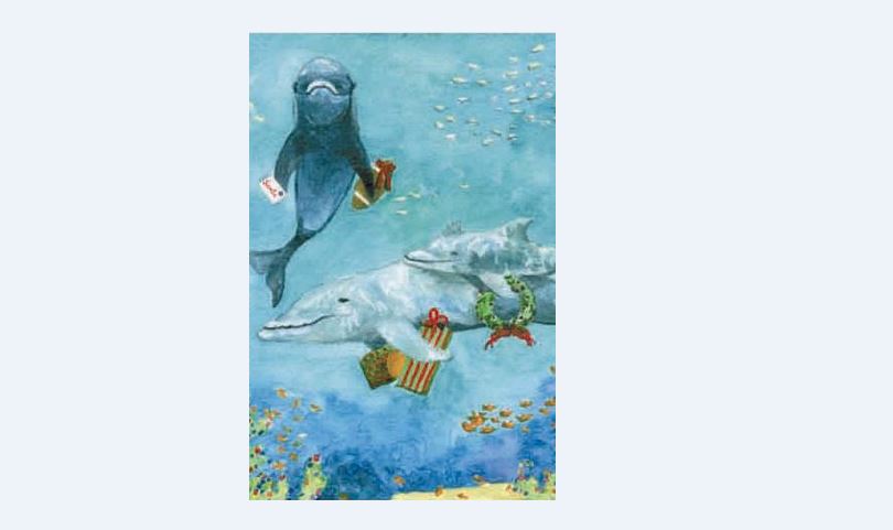 XCG05 Dolphins