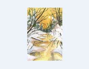 Winter Reflections.JPG