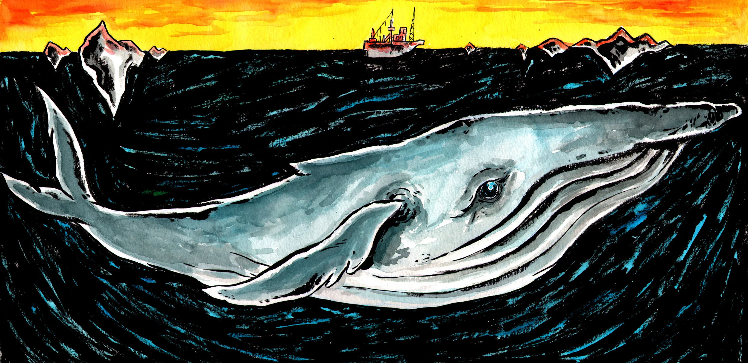 whale copy.jpg