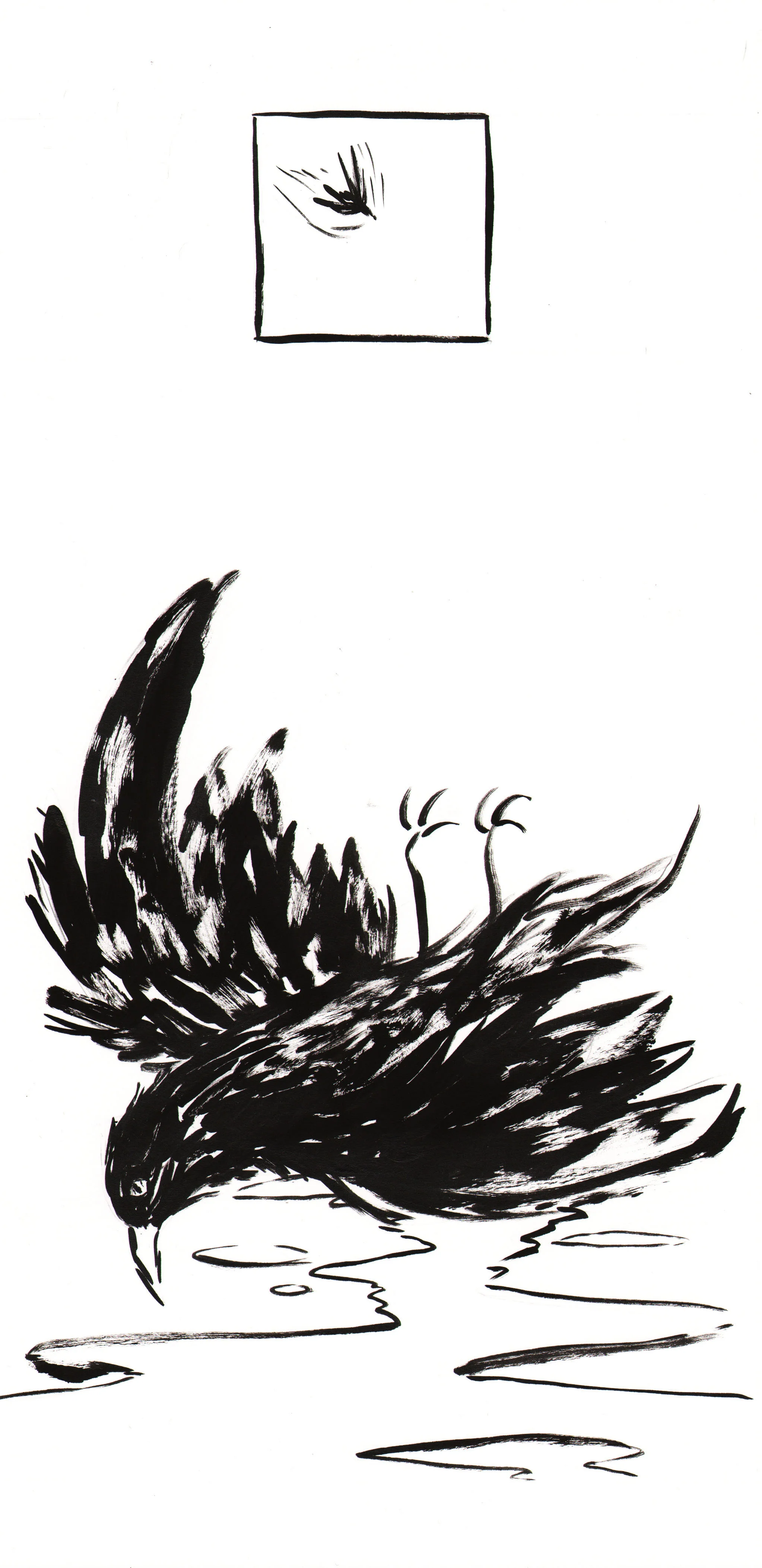 birssong-pg33 copy.jpeg