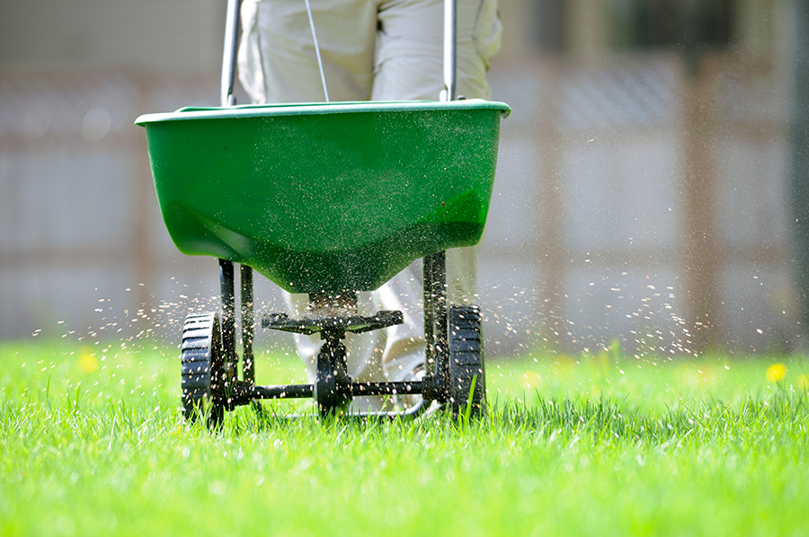 iStock-172899682_sfw.jpg