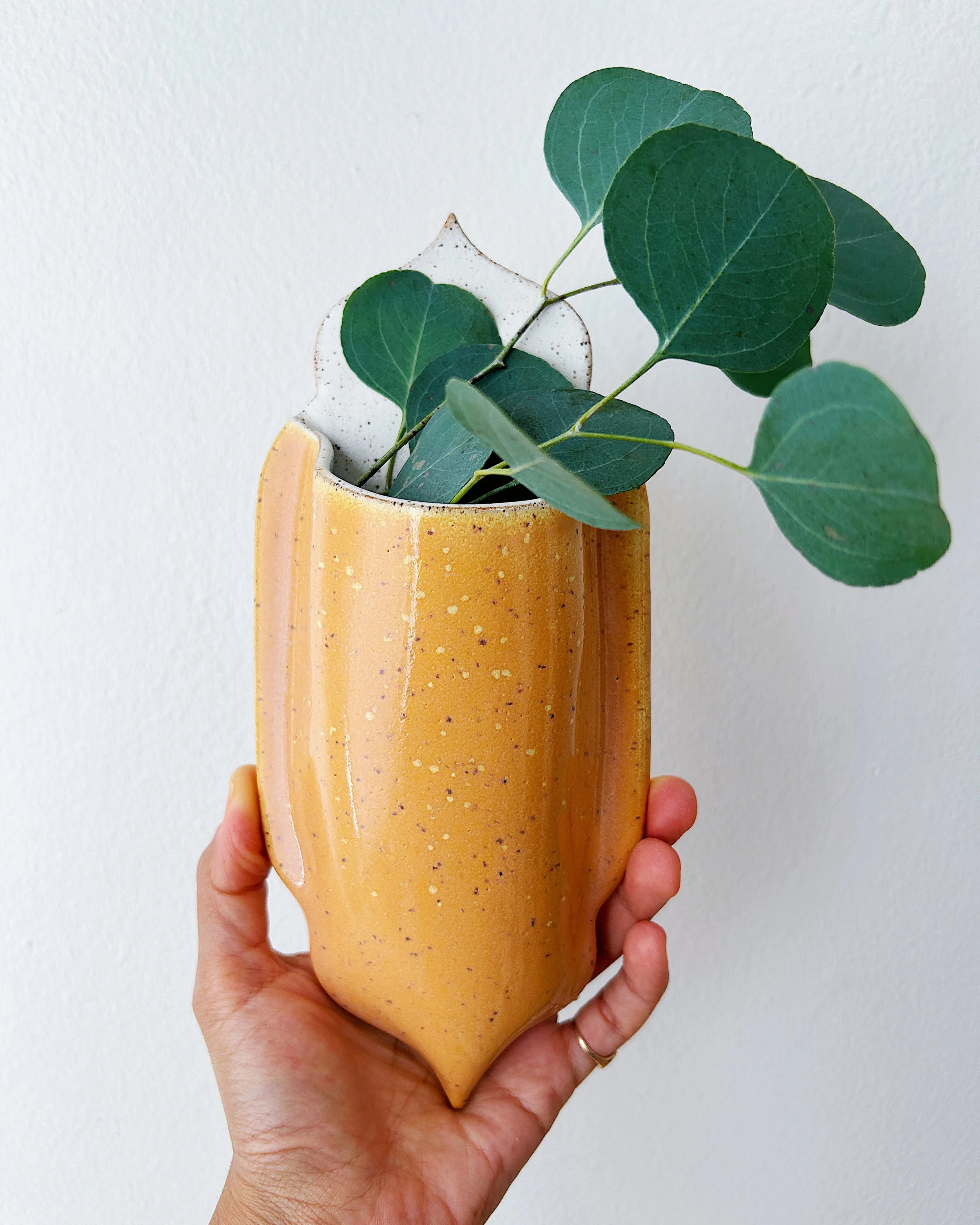 Pocket L — Mango Sticky Rice 03.jpg