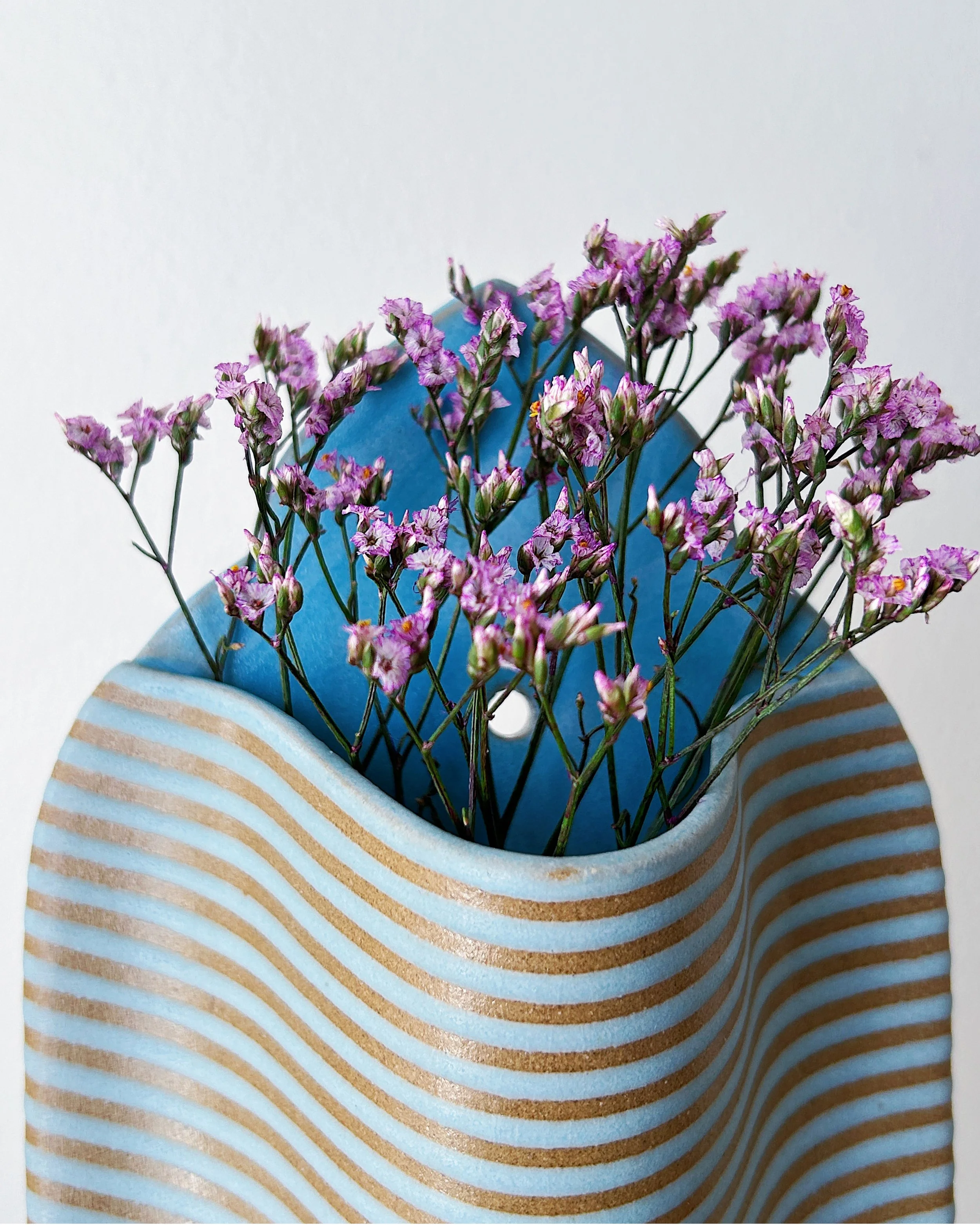 Pocket L — Blueberry Cake 01.jpg