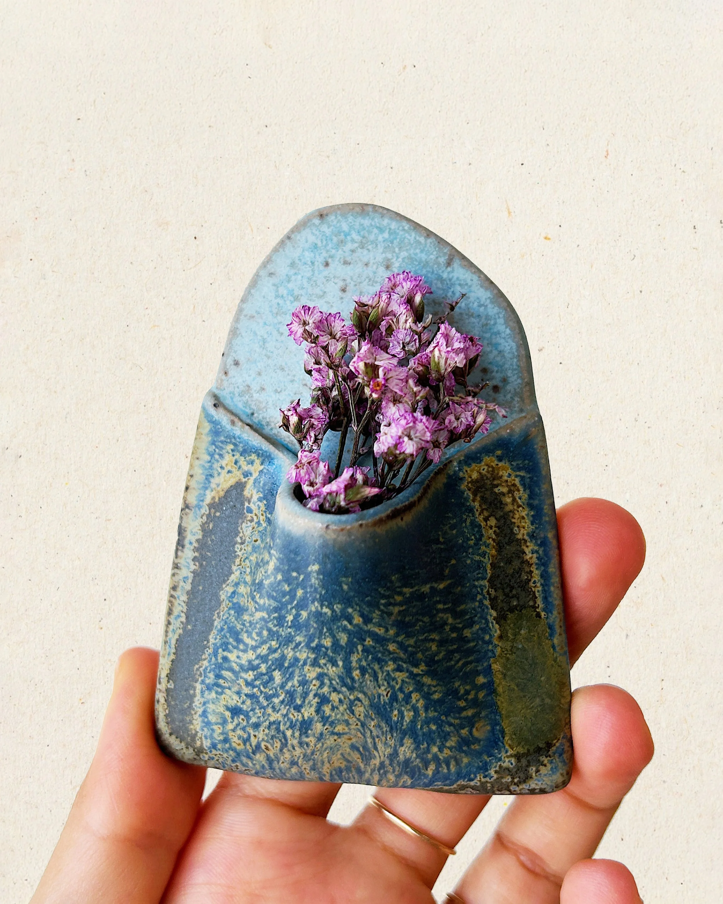 Magnet — Blueberry Cookie.jpg