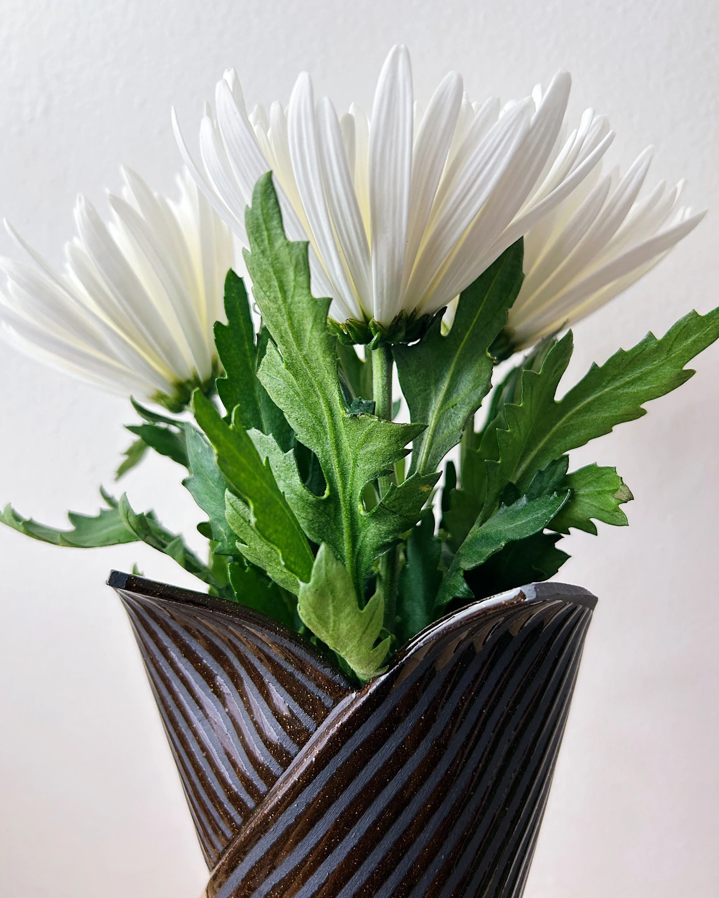 Cone — Lava Cake 09.jpg