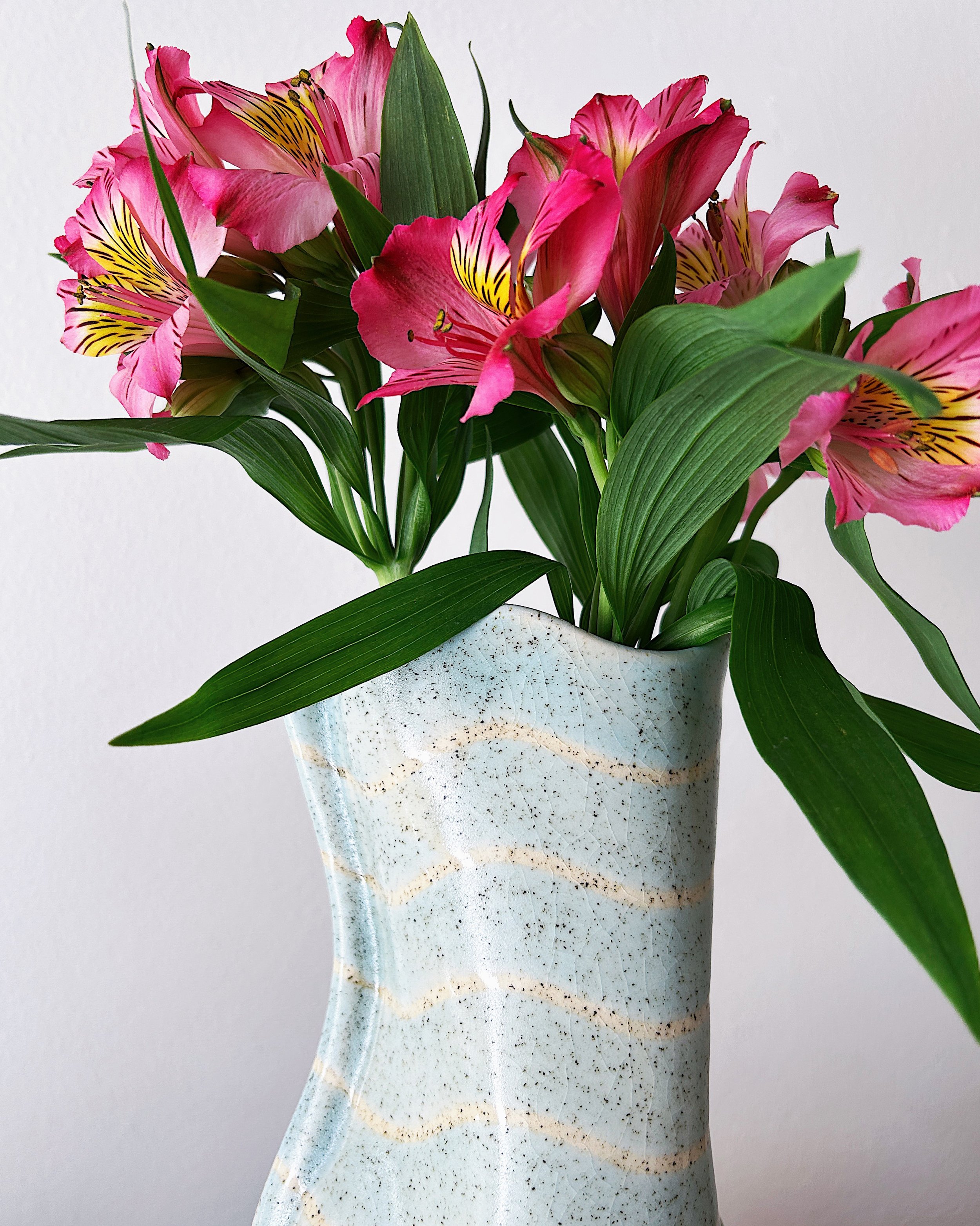 Blueberry Smoothie 05.jpg