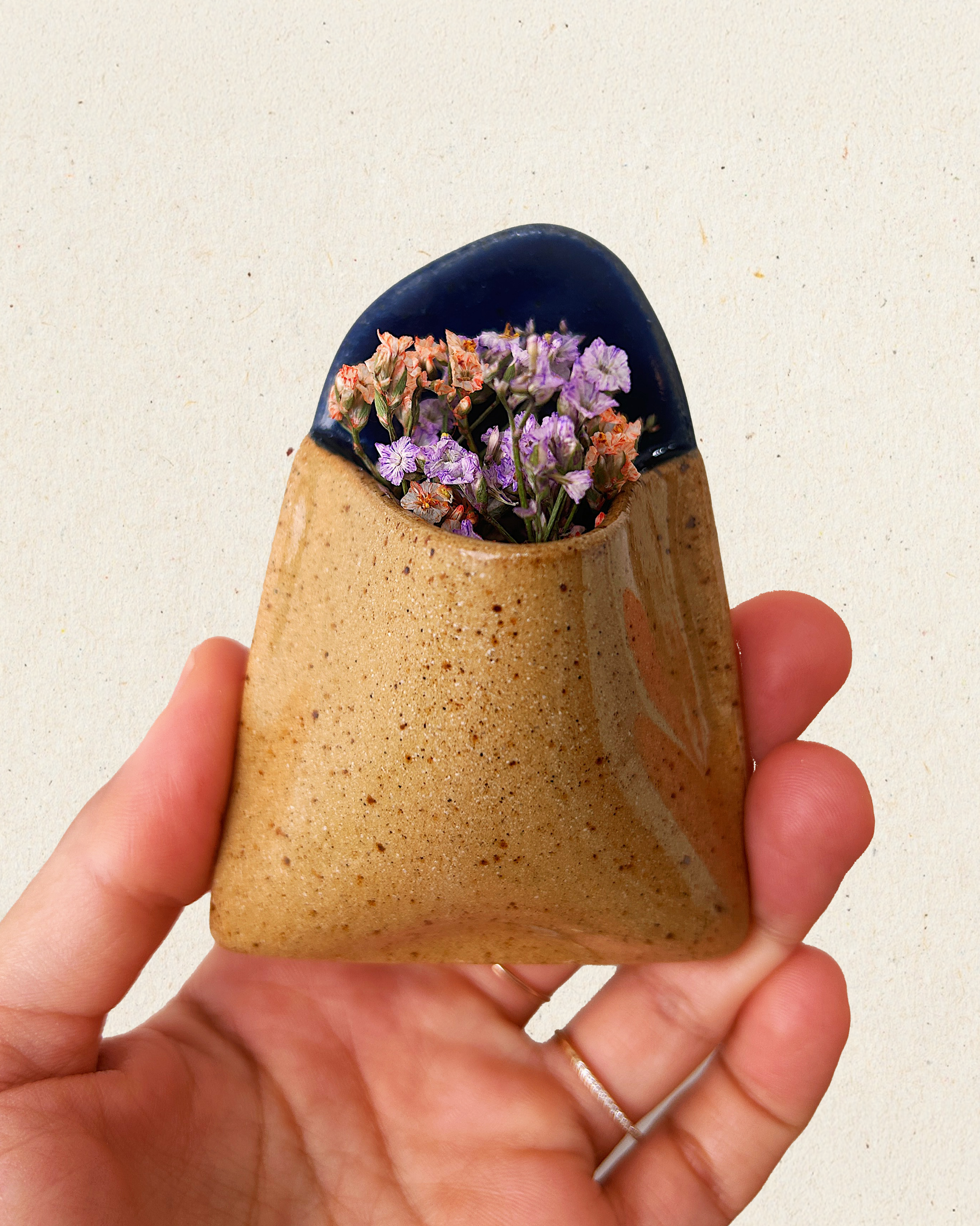 Blueberry Granola.png