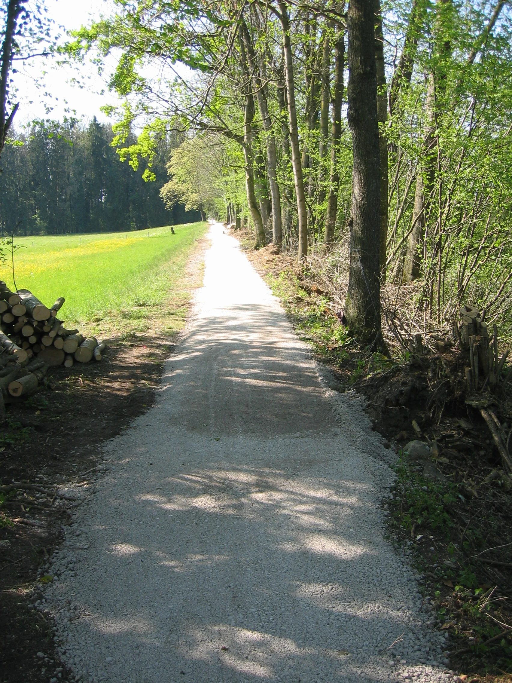 2007: Wanderweg Wägitaler Aa