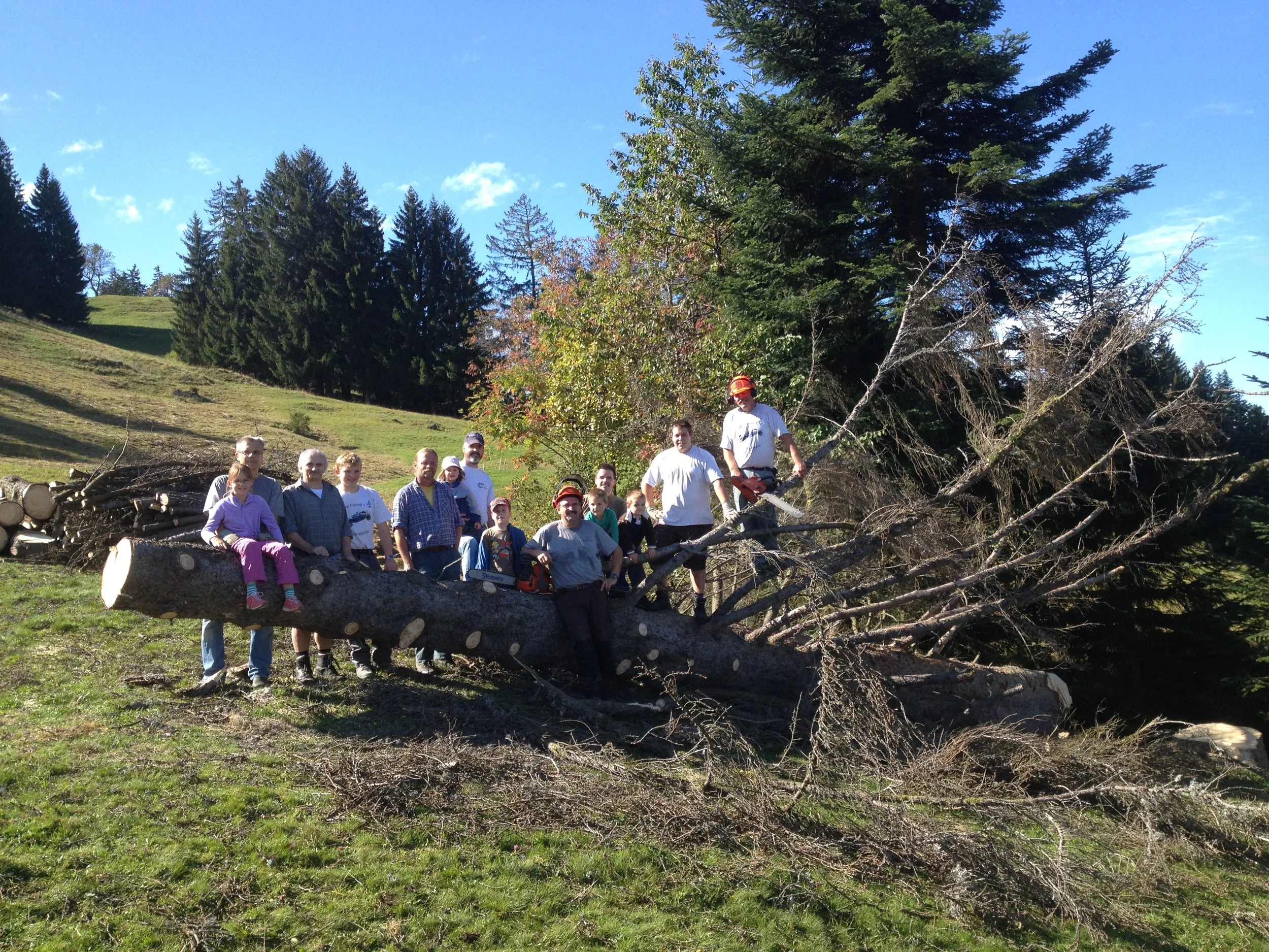 2015: Weidsäuberung im Gschwend