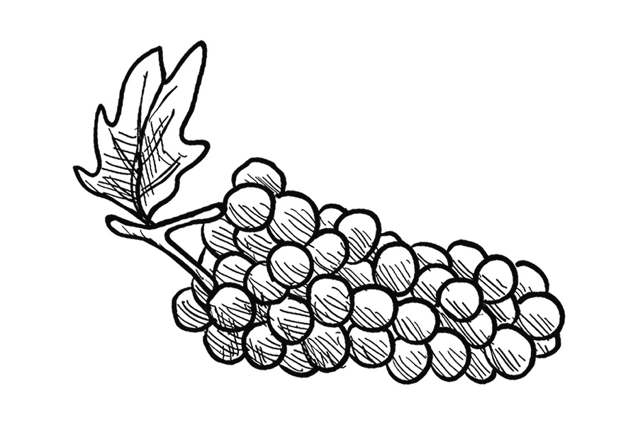 Varietals
