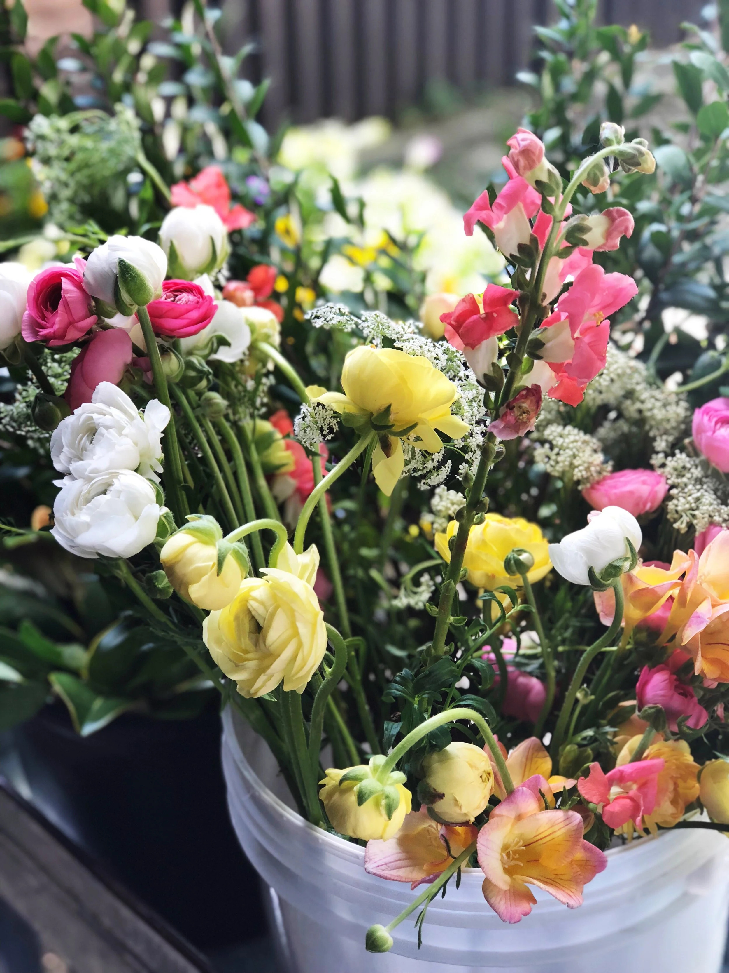 SONOMA COUNTY MOTHER'S DAY FLORAL GUIDE