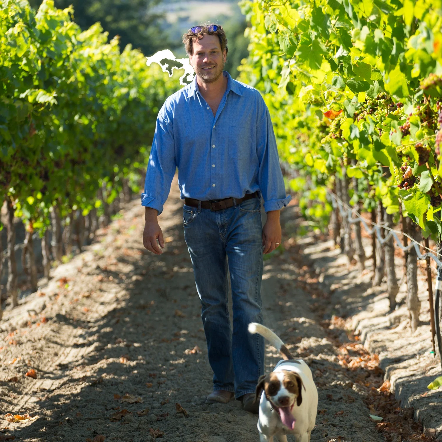 Winemaker_and_VP_Anthony_Beckman_walking_in_the_vineyards_with_a_dog.jpg