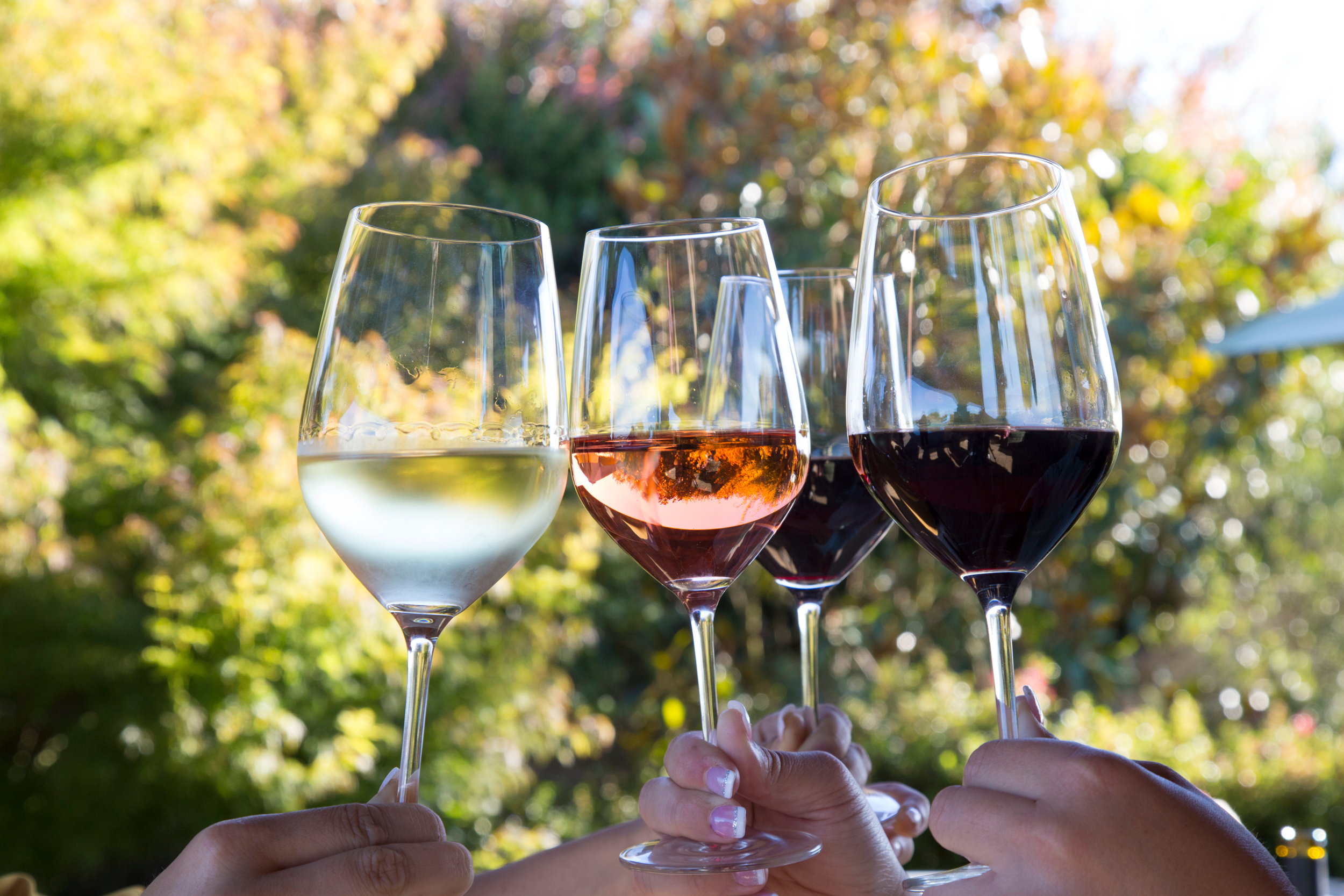 Four_wine_glasses_being_clinked_together.png