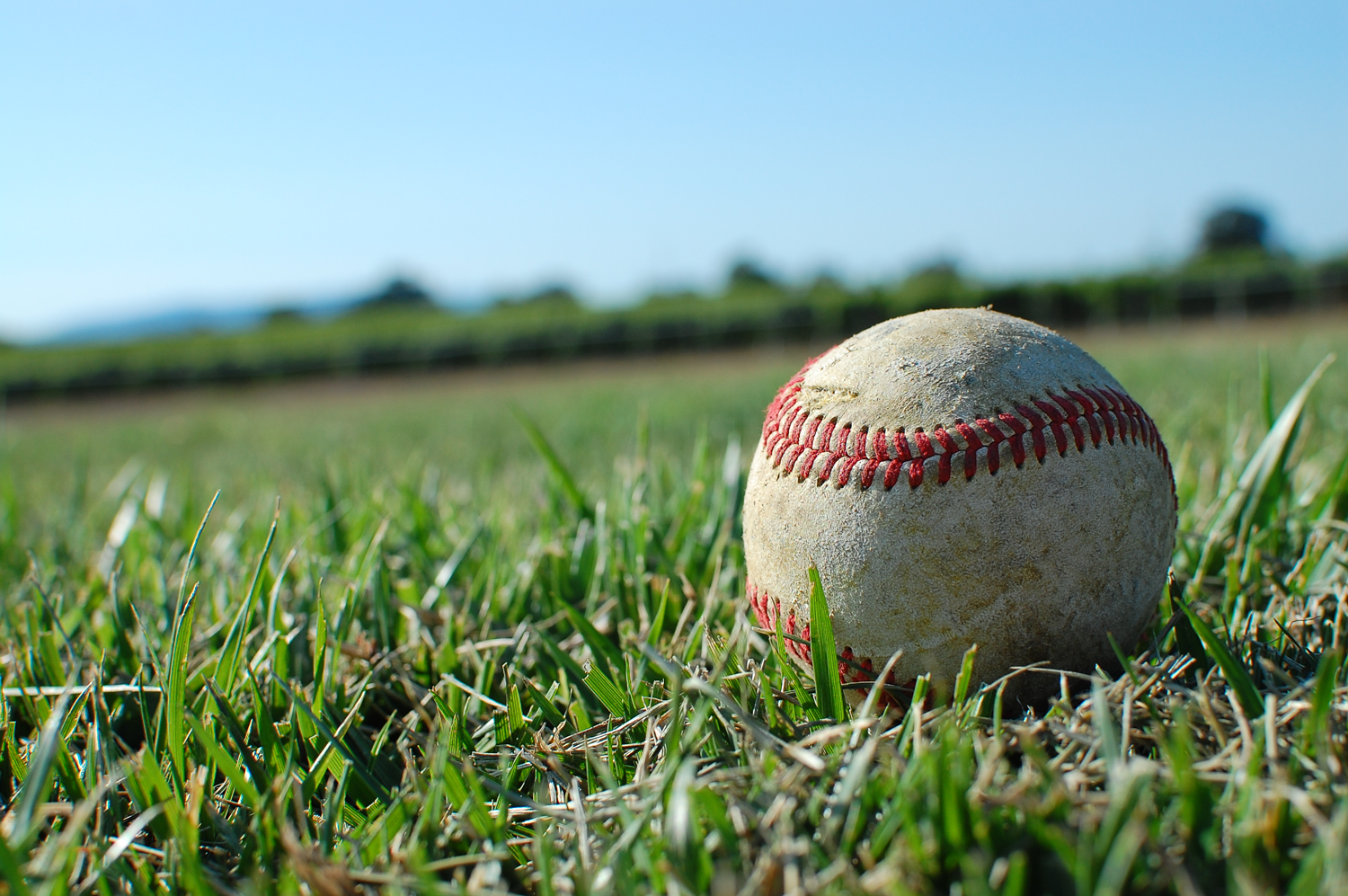 Baseball_on_Grass.png