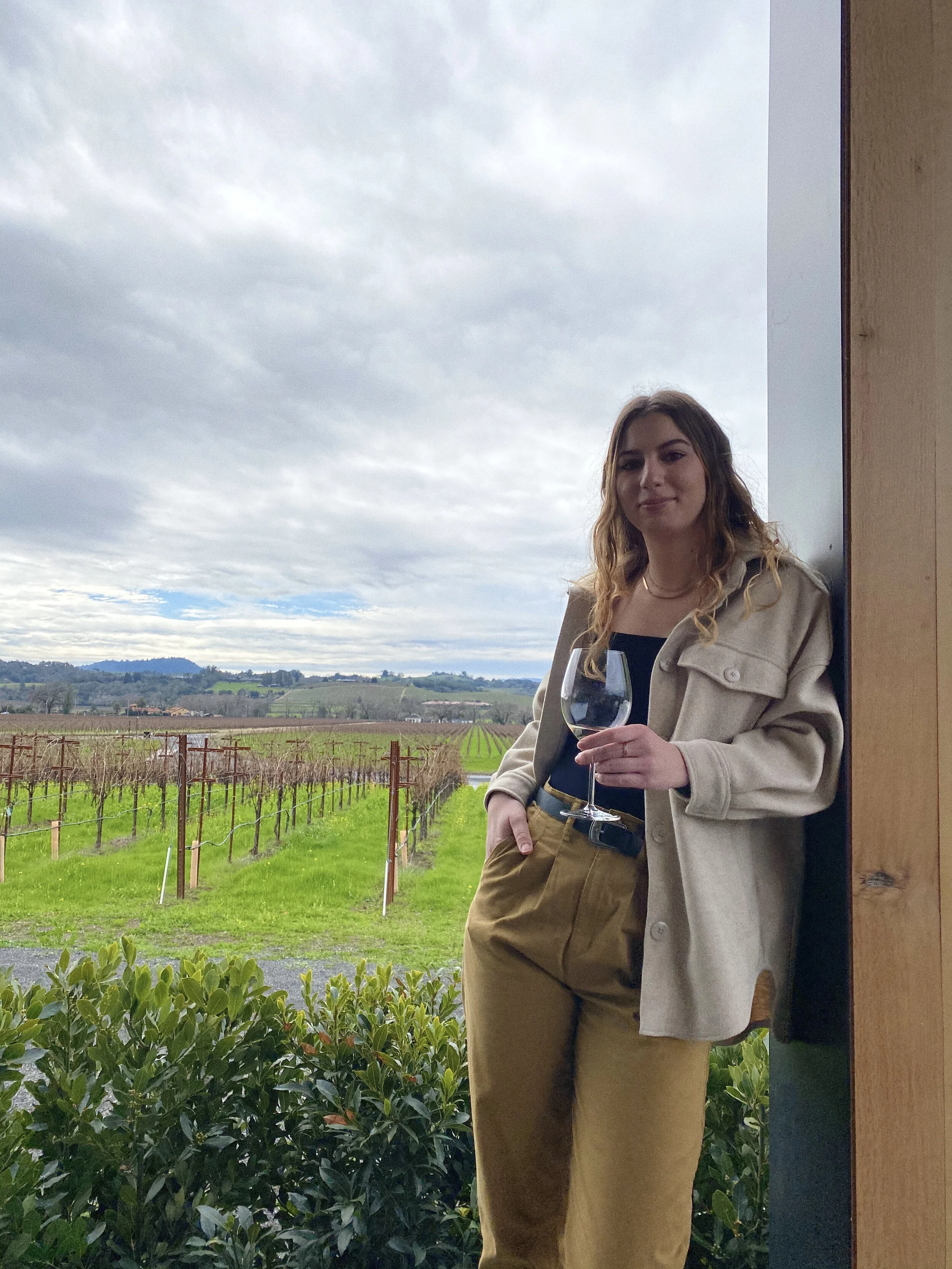 Your Virtual Tasting Experience, Revamped