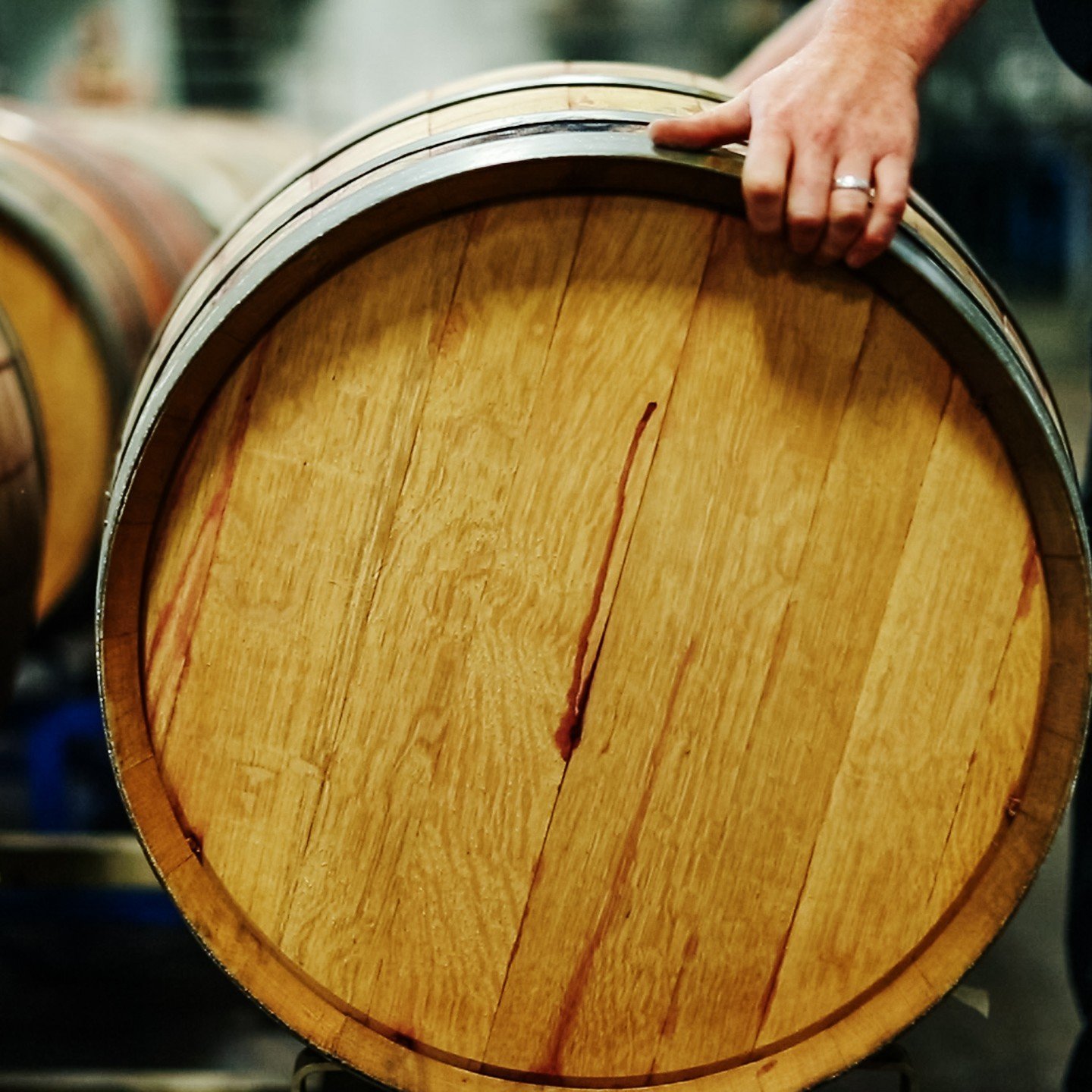 You may know your wine is aged in wooden barrels, but do you know what KIND of wood your wine is aged in?

Oak is the most popular choice for wine barrels. 
Not only is it a sturdy and porous wood, but it departs flavors consistently and strongly. Th