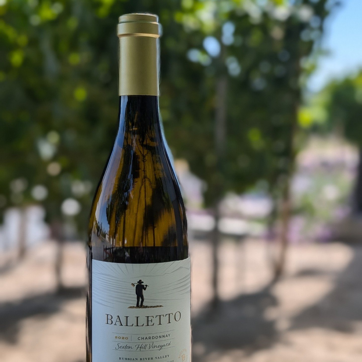 Sip, savor, and swirl into luxury with Balletto Vineyard's exquisite 2020 Sexton Hill Chardonnay! Indulge in a wine that booms out of the glass with apricot, red apple, and baking spice aromas that pull this serious wine into its own class.

Sexton H