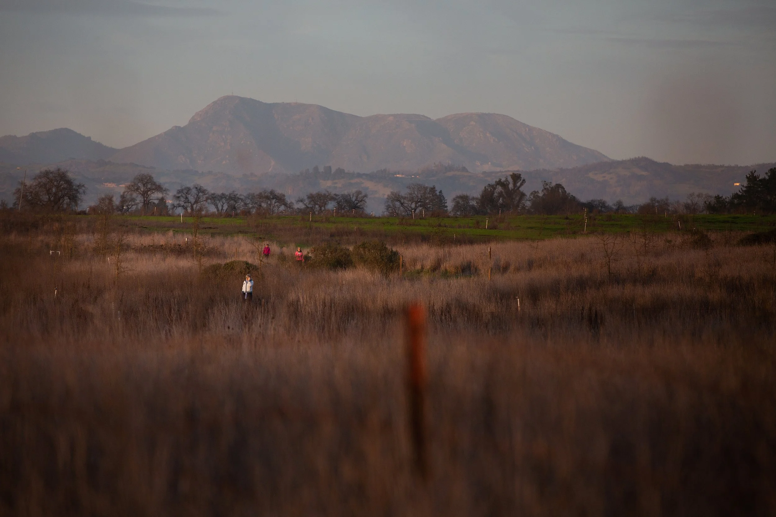 Laguna de Santa Rosa Feb. 2020.jpg