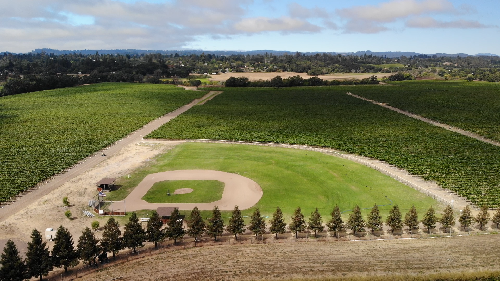 Drone Footage of Dream Field, By Dave Coyle, Sunset, Balletto Vineyards1.00_09_09_07.Still001.png