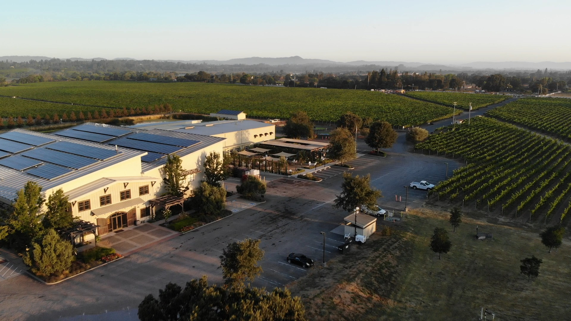 Drone Footage of Dream Field, By Dave Coyle, Sunset, Balletto Vineyards1.00_04_22_06.Still003.png