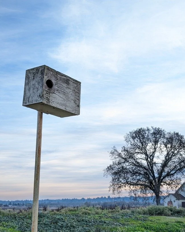 Did you know nature lends a hand at Balletto Vineyards? Our owl boxes are key players in our sustainable winemaking process. These feathered pest controllers help us protect the balance of our vineyards &amp; keep the vines flourishing. 

Stop by the