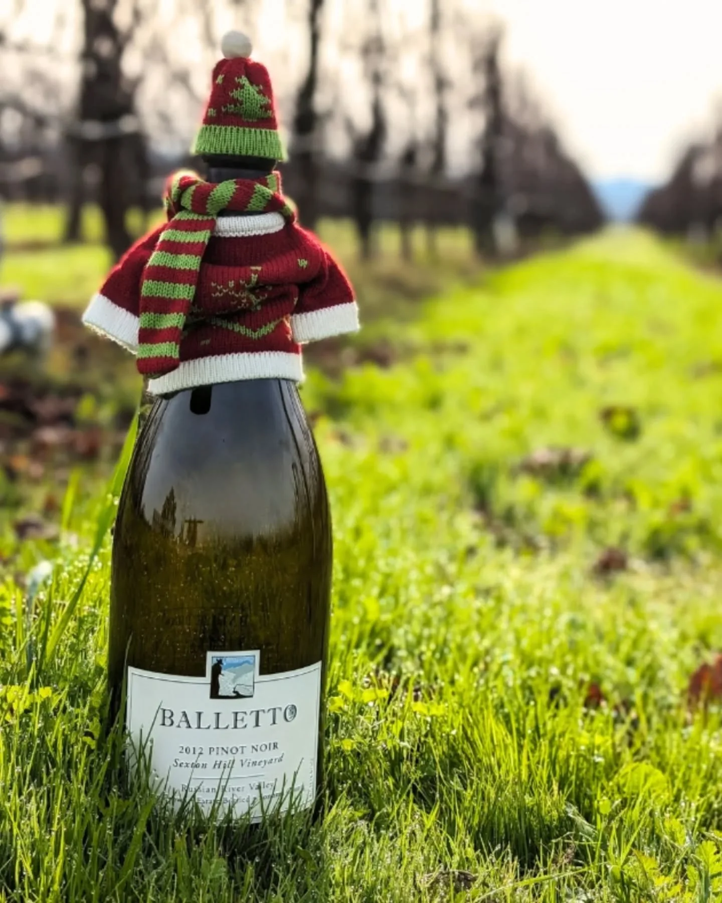 BALLETTO LARGE FORMAT WINES - GO BIG OR GO HOME this Christmas at Balletto! OPEN LESS, ENJOY MORE.

We bottled a very small number of these large format wine magnums, 3L &amp; 5L, so you can have more to celebrate this season and prepare for the holi