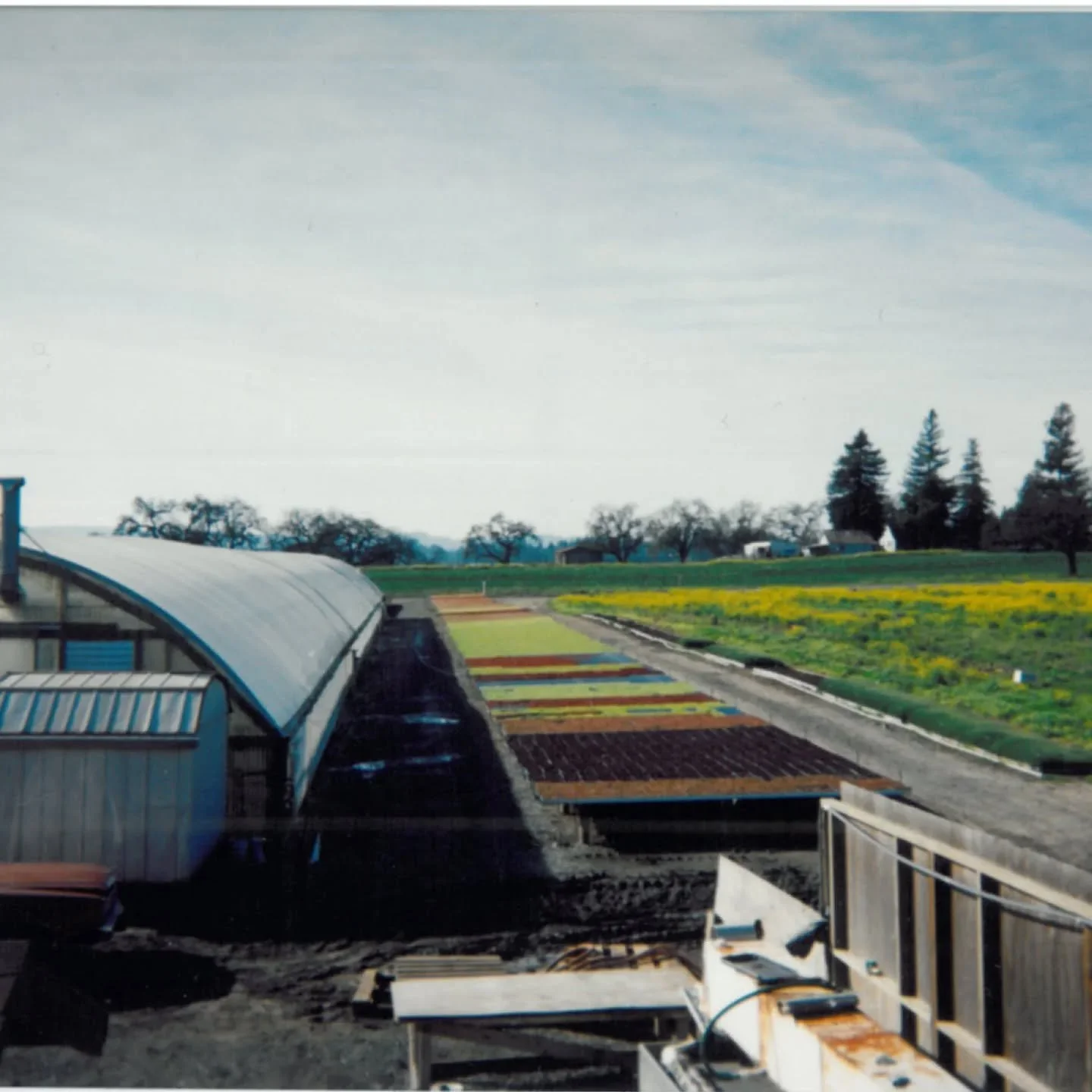 As the year begins drawing to a close, let&rsquo;s take a look back at our roots, both literal and figurative. 

In 1977, John Balletto began his farming journey at 17, stepping in to run his father&rsquo;s five-acre field of zucchini after his fathe