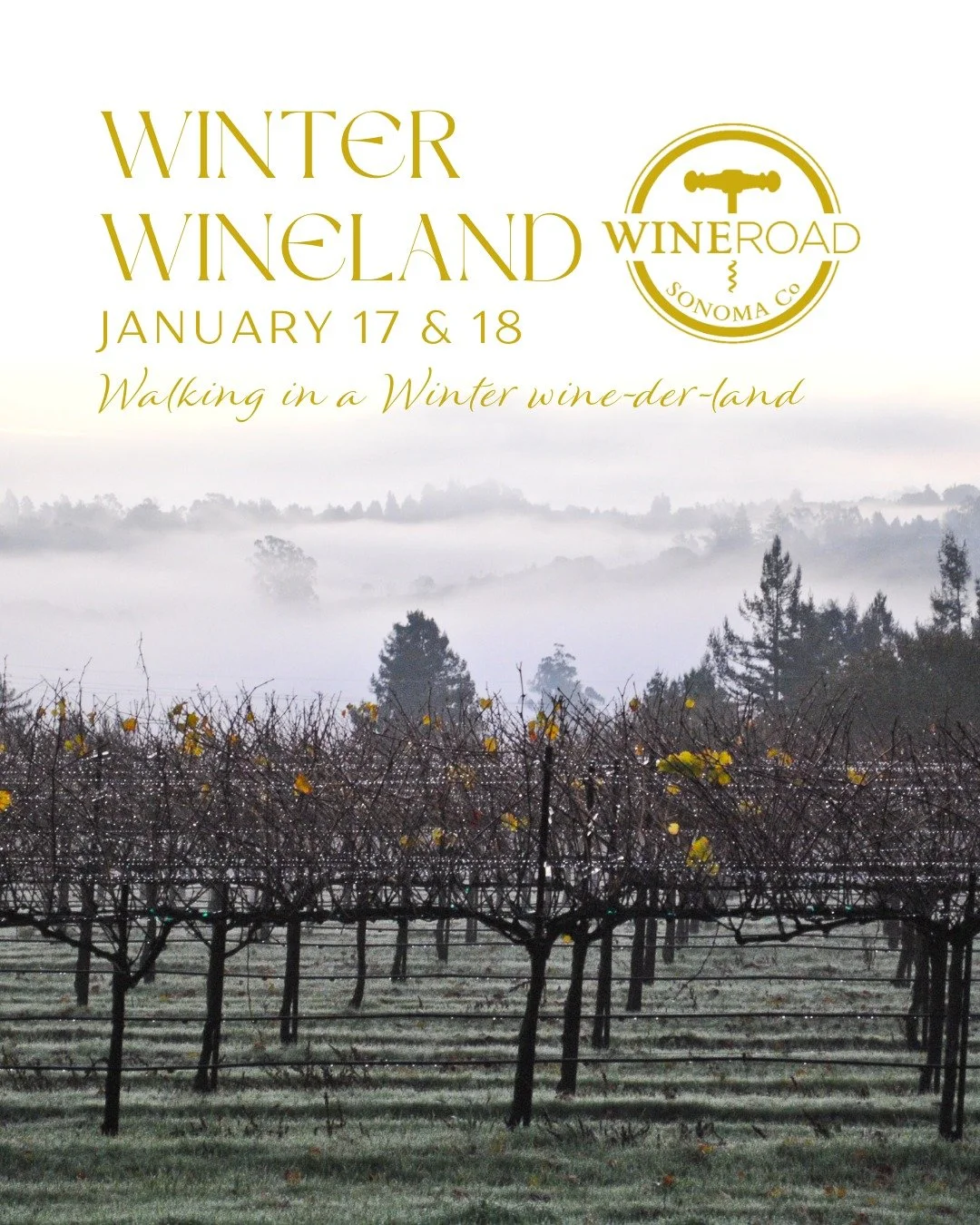 The holiday season in wine country may be over, but winter is not! 

This cold weather is just one more reason to savor a glass of wine around the hearth! Celebrate the start of a new year surrounded by warm hospitality, stunning landscapes, and the 