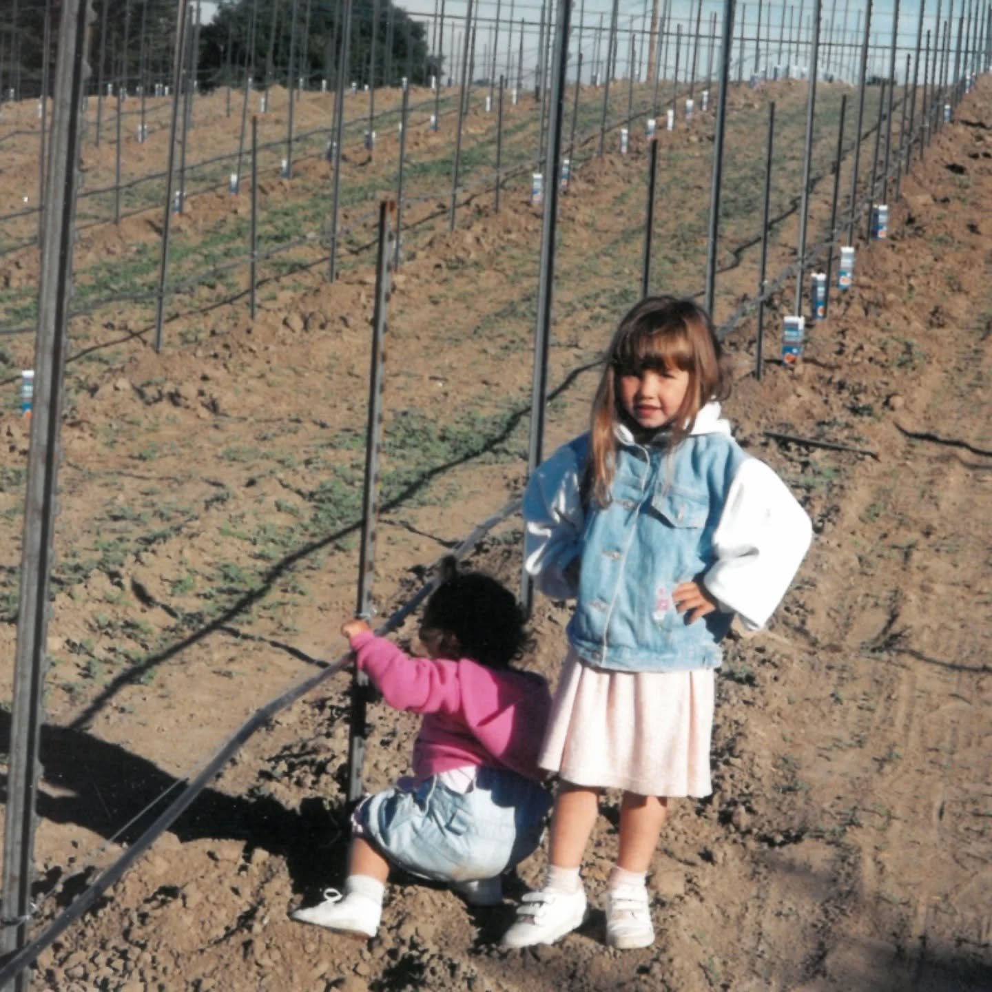 &ldquo;In 1988, John and Terri Balletto, who were in the vegetable business at the time, decided to purchase some land in the Sebastopol Hills to grow their vegetables in the wintertime. John grew up in Sebastopol and had always had a fondness for th