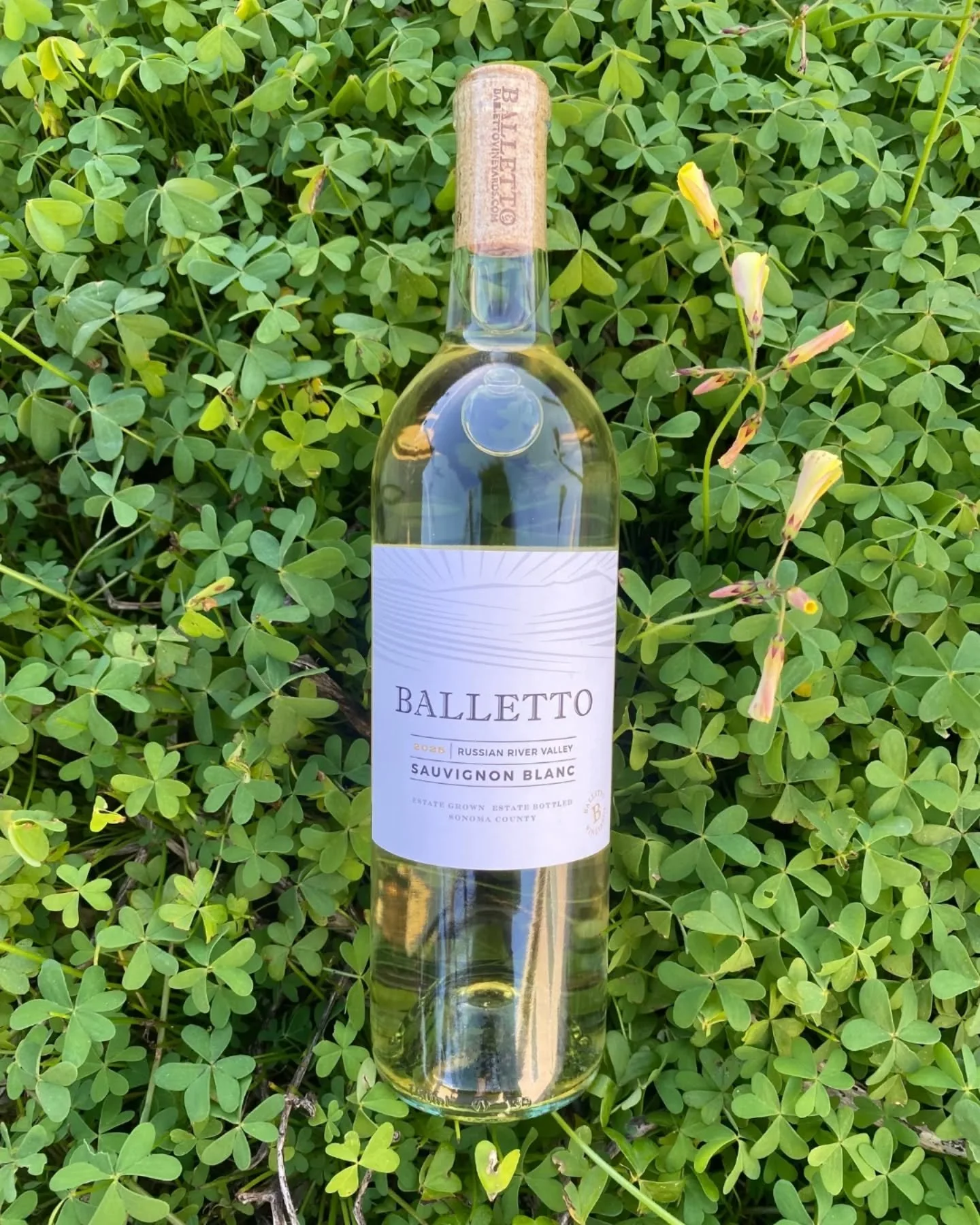 2025 SAUVIGNON BLANC IS BACK FOR SPRING!

Lucky you, we&rsquo;re popping open this new vintage just as the clovers are starting to pop up! Enjoy a glass of freshly bottled Sauvignon Blanc from the enjoyment of our Tasting Room patio, with a full view