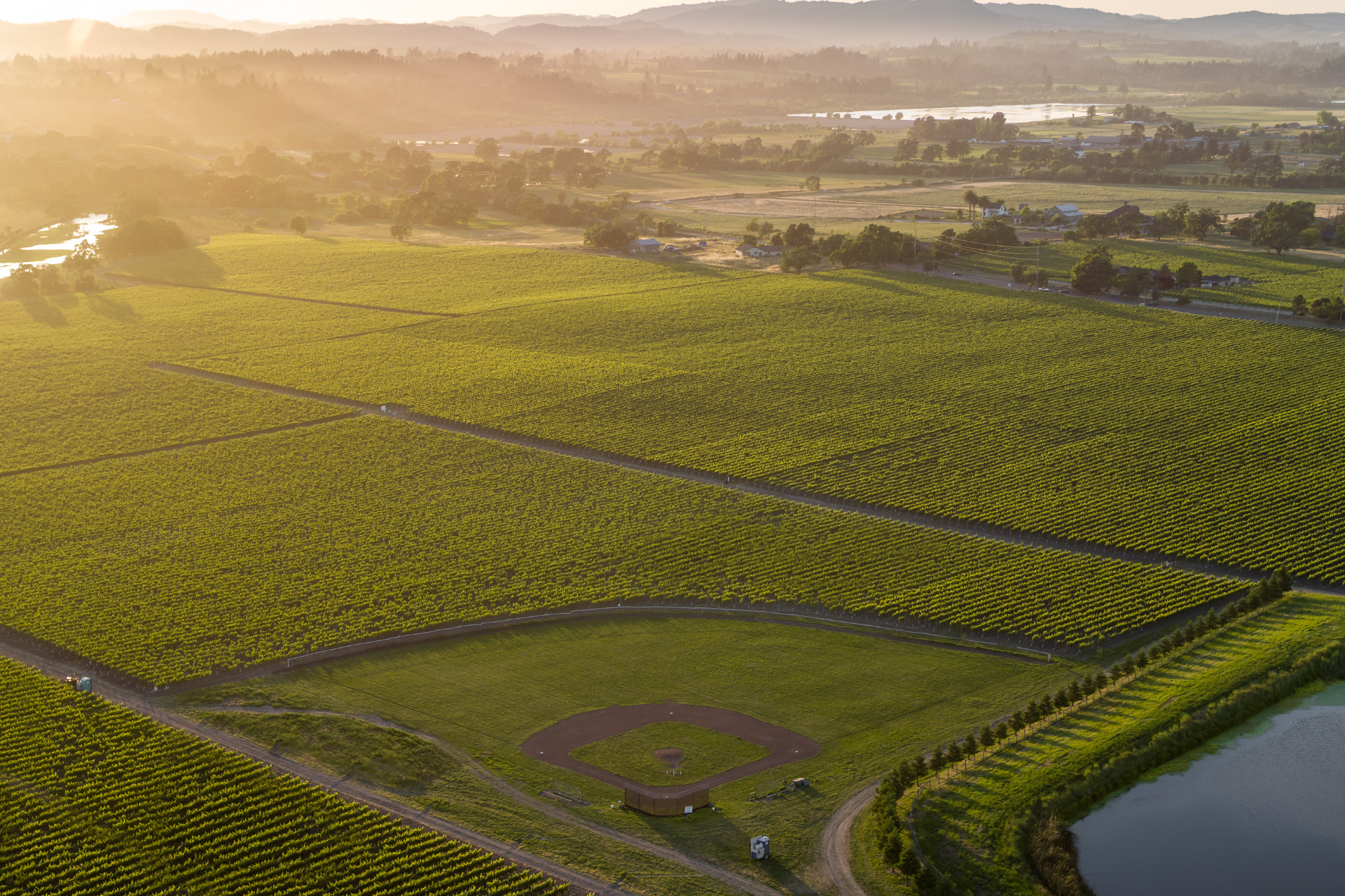 Balletto Vineyards_Baseball_DreamField_Vineyards.png