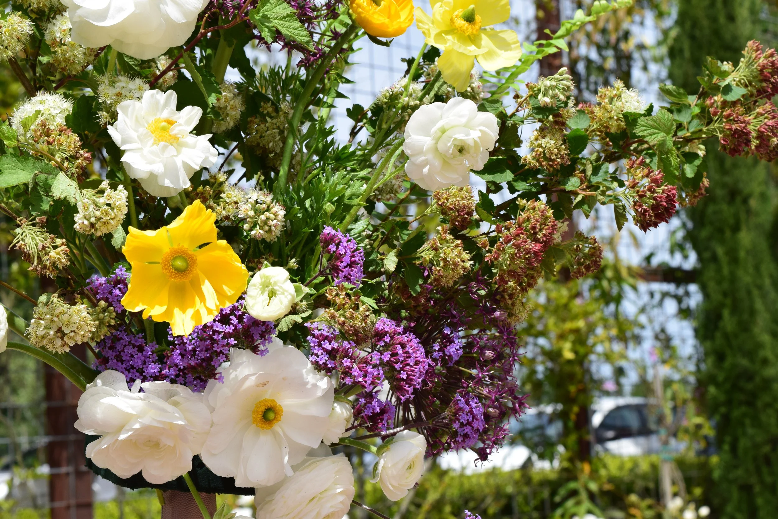 DSC_7619.JPG