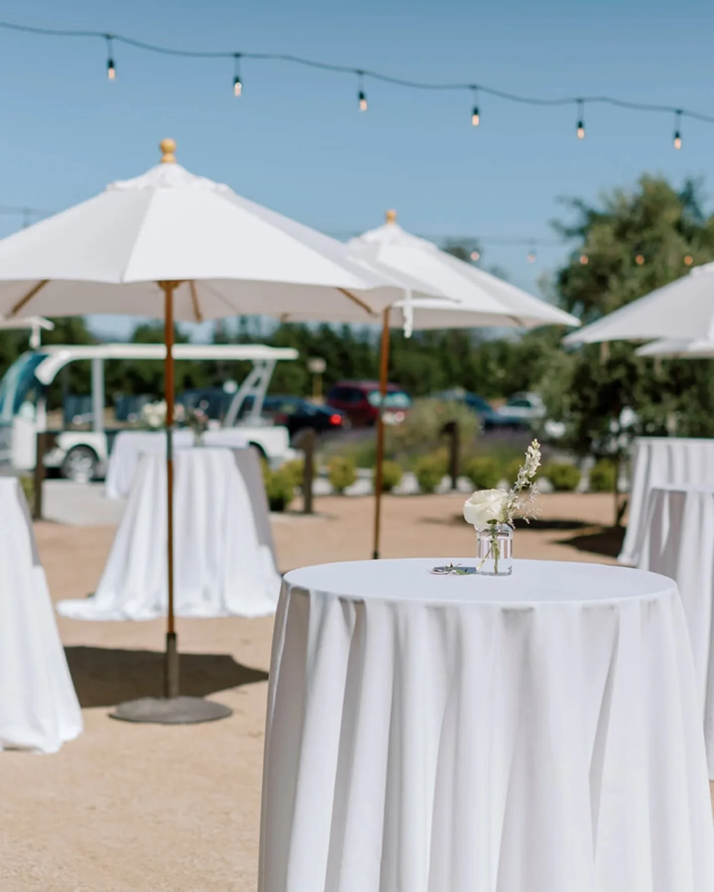 The Olive Terrace - the perfect venue under the endless blue sky, surrounded by lush rose bushes, &amp; including a bar stocked with the perfect wines to sip under the spring weather. Our Olive Terrace offers guests true wine country hospitality with