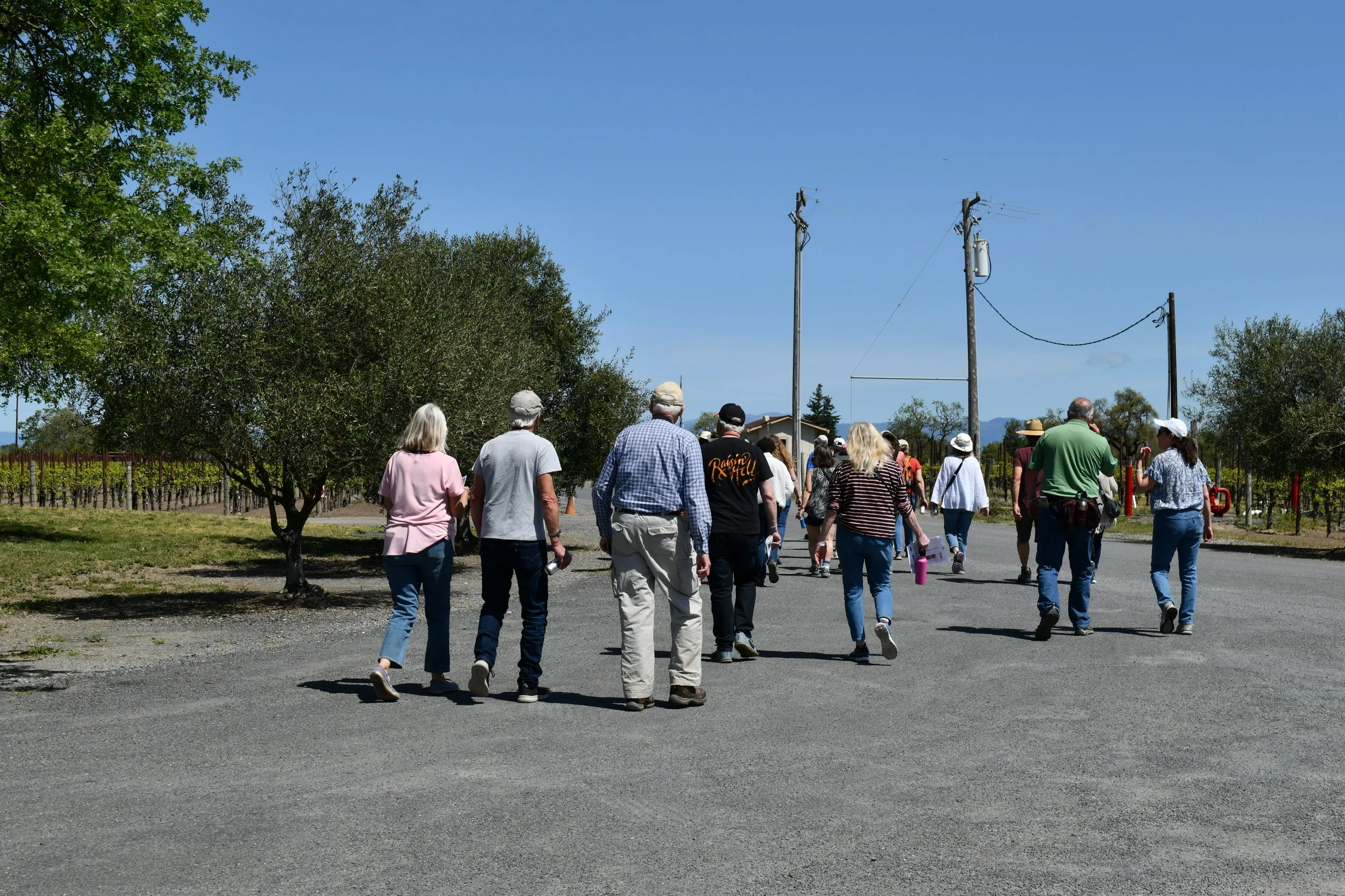 Hike Along the Laguna Oaks Trails at Balletto Vineyards.JPG