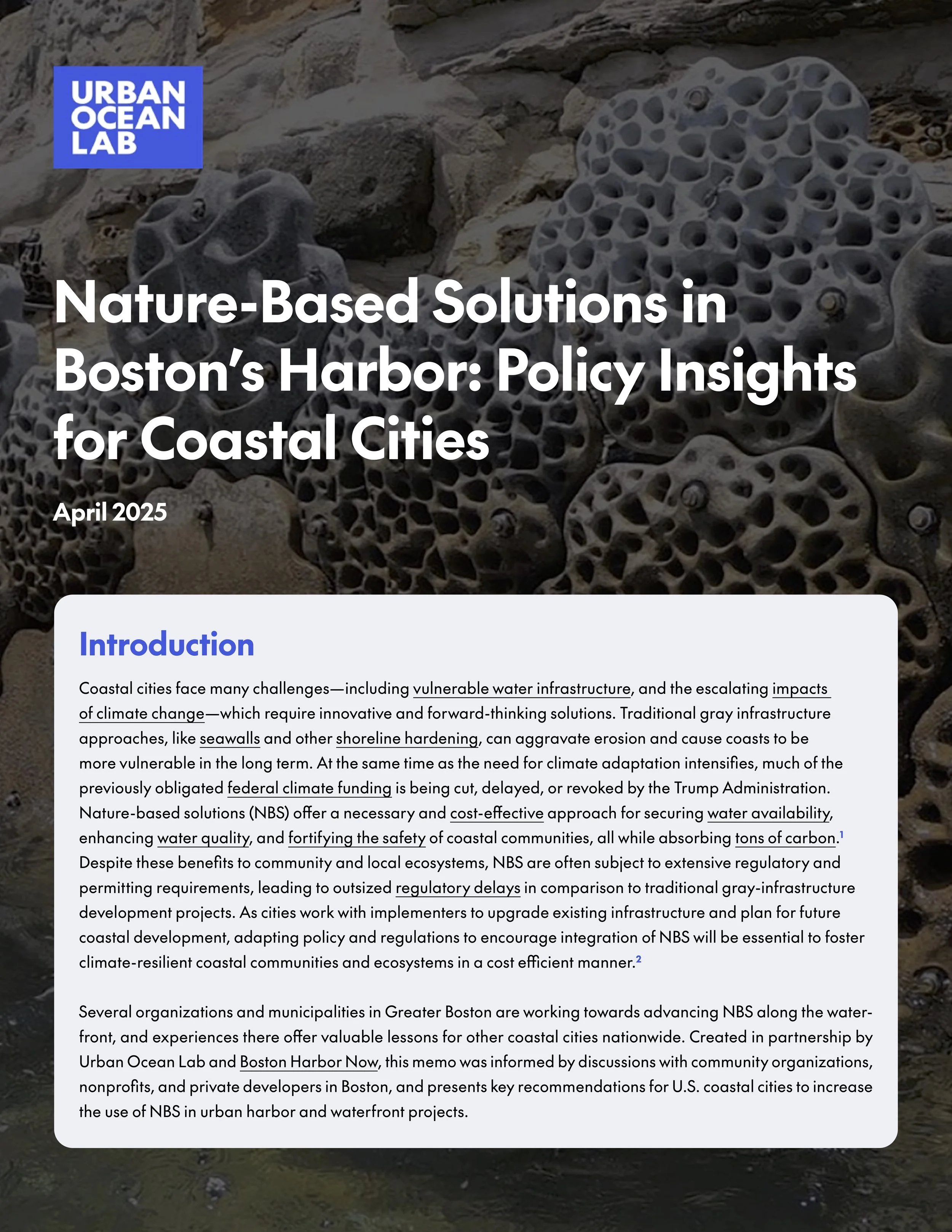 Nature-Based Solutions in Boston's Harbor: Policy Insights for Coastal Cities