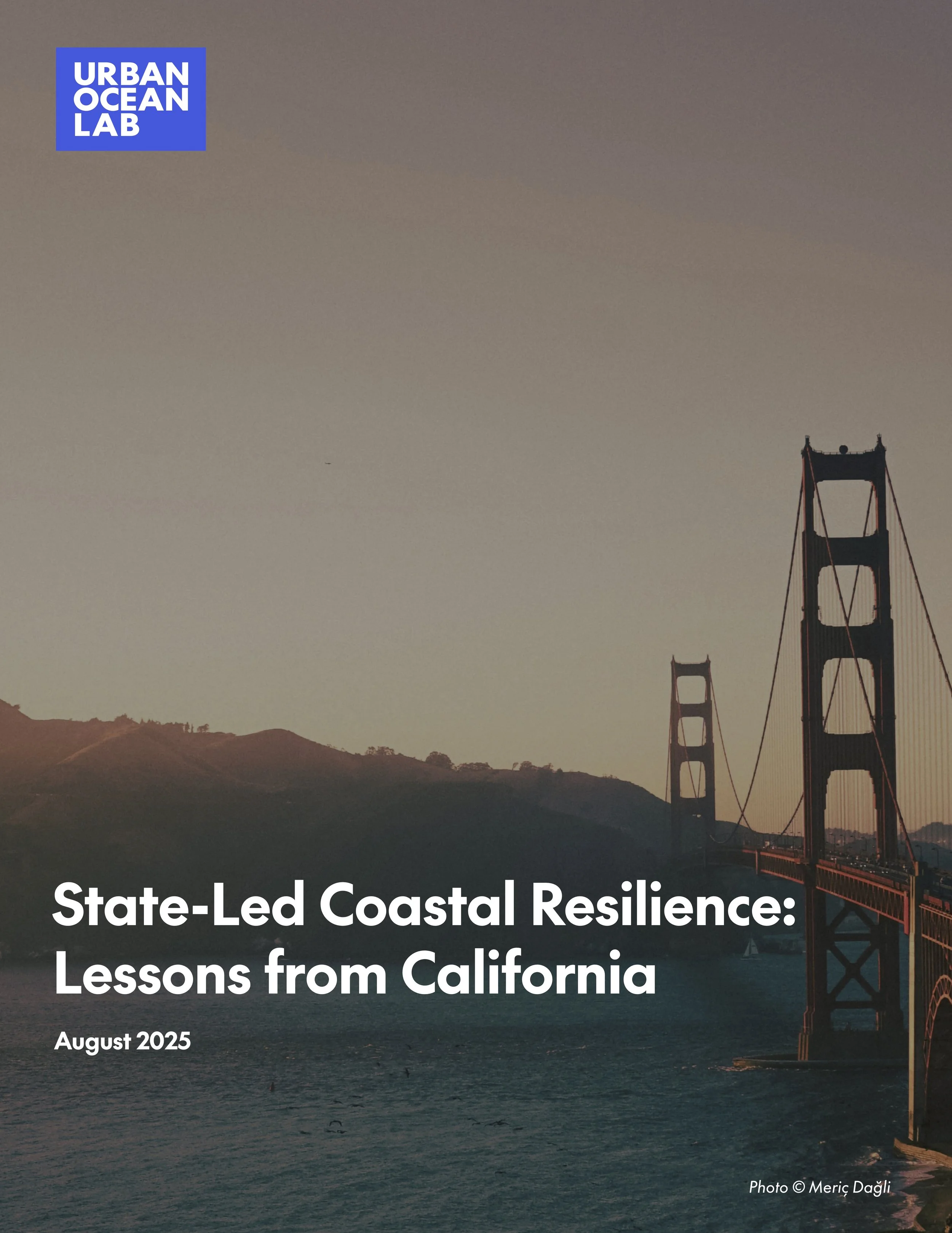 State-Led Resilience: Lessons from California